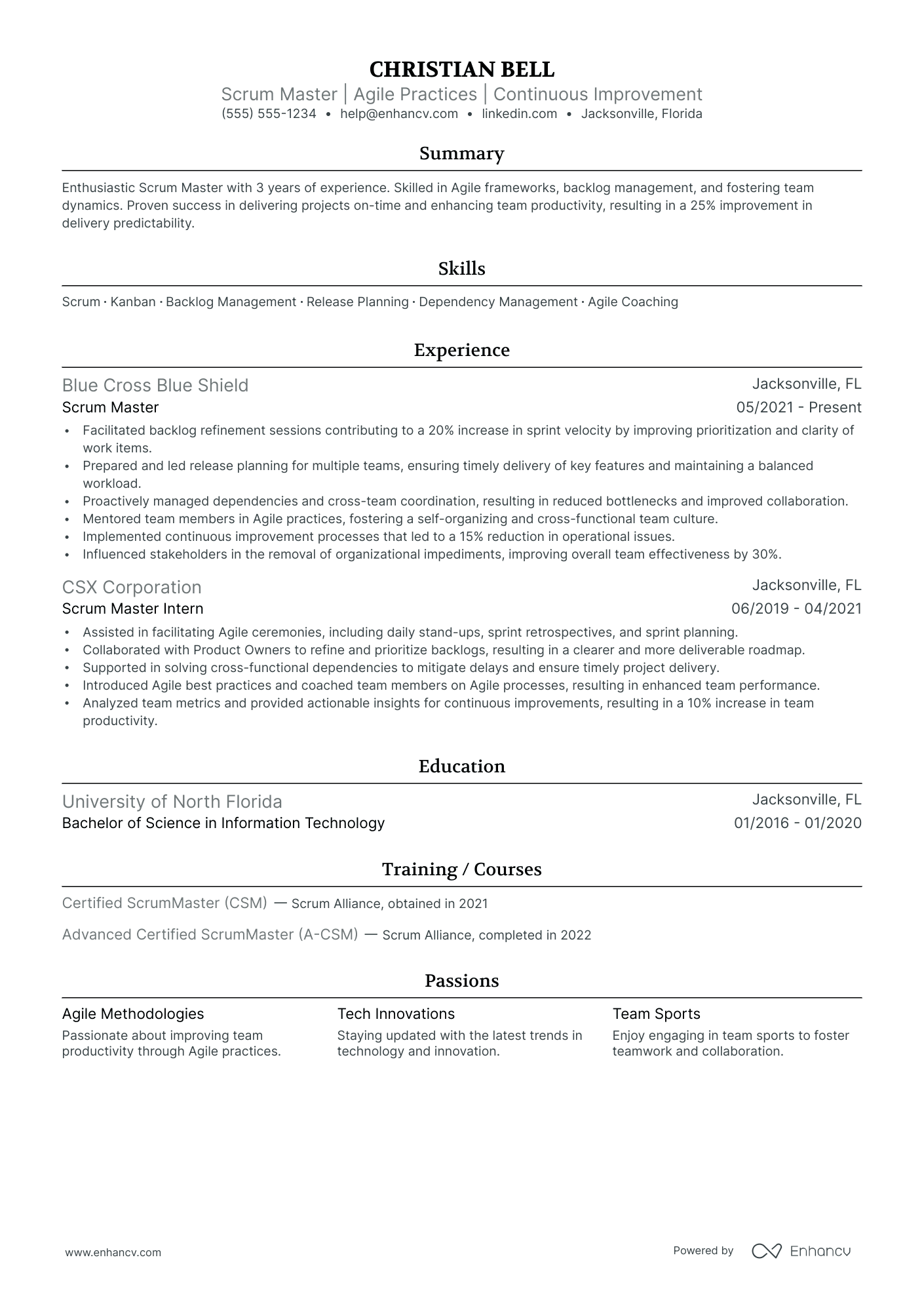 Scrum Master Trainer resume example