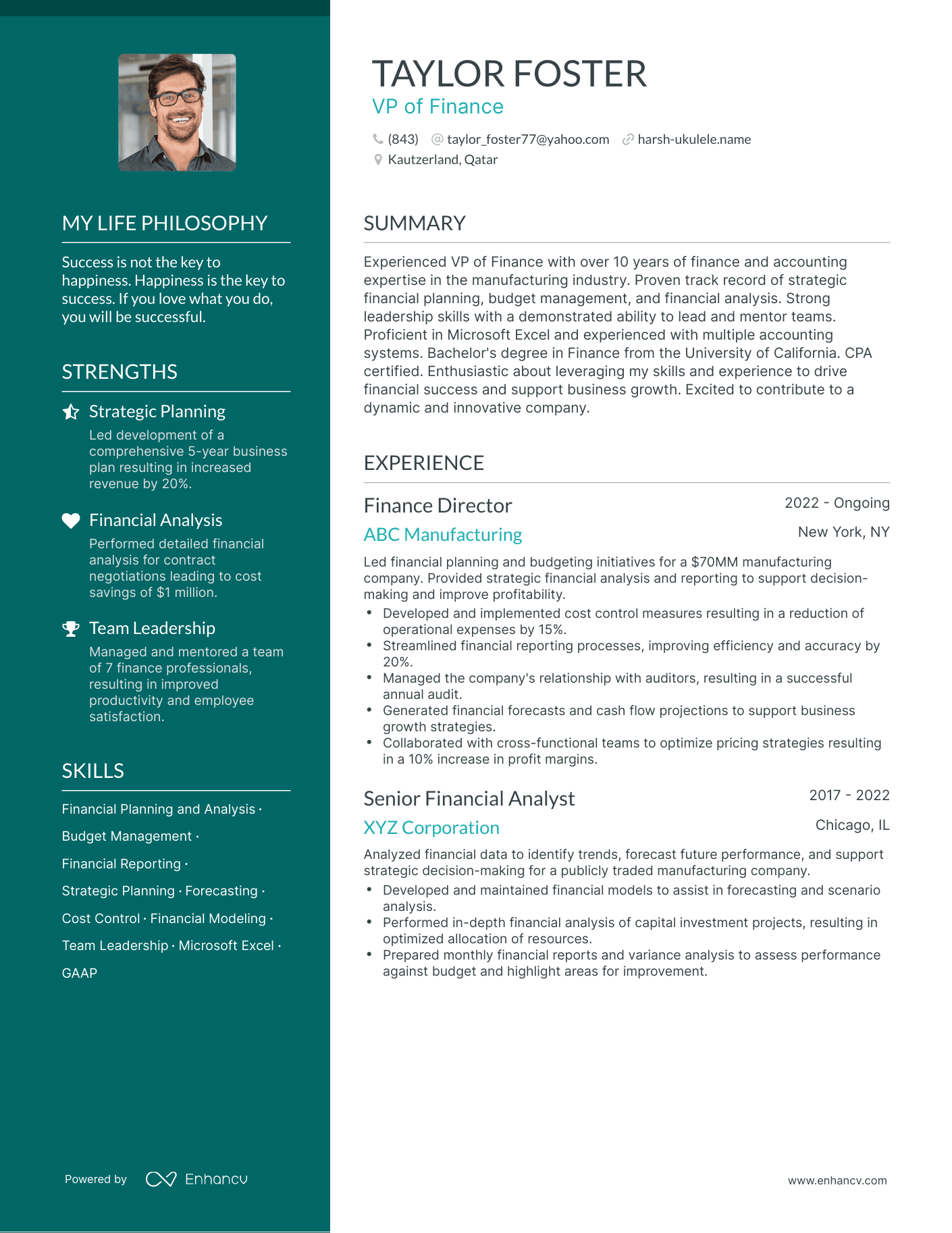 Creative VP of Finance Resume Example