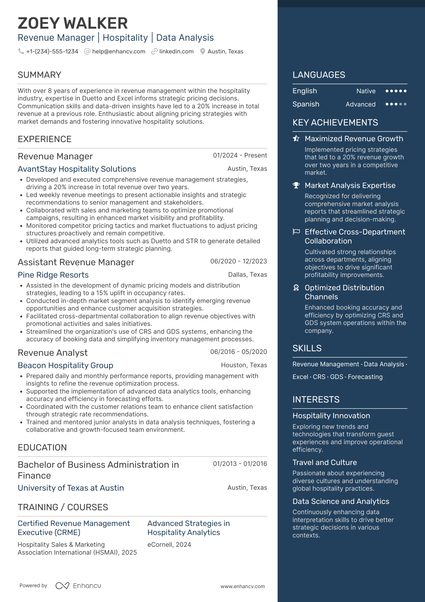Revenue Manager resume example