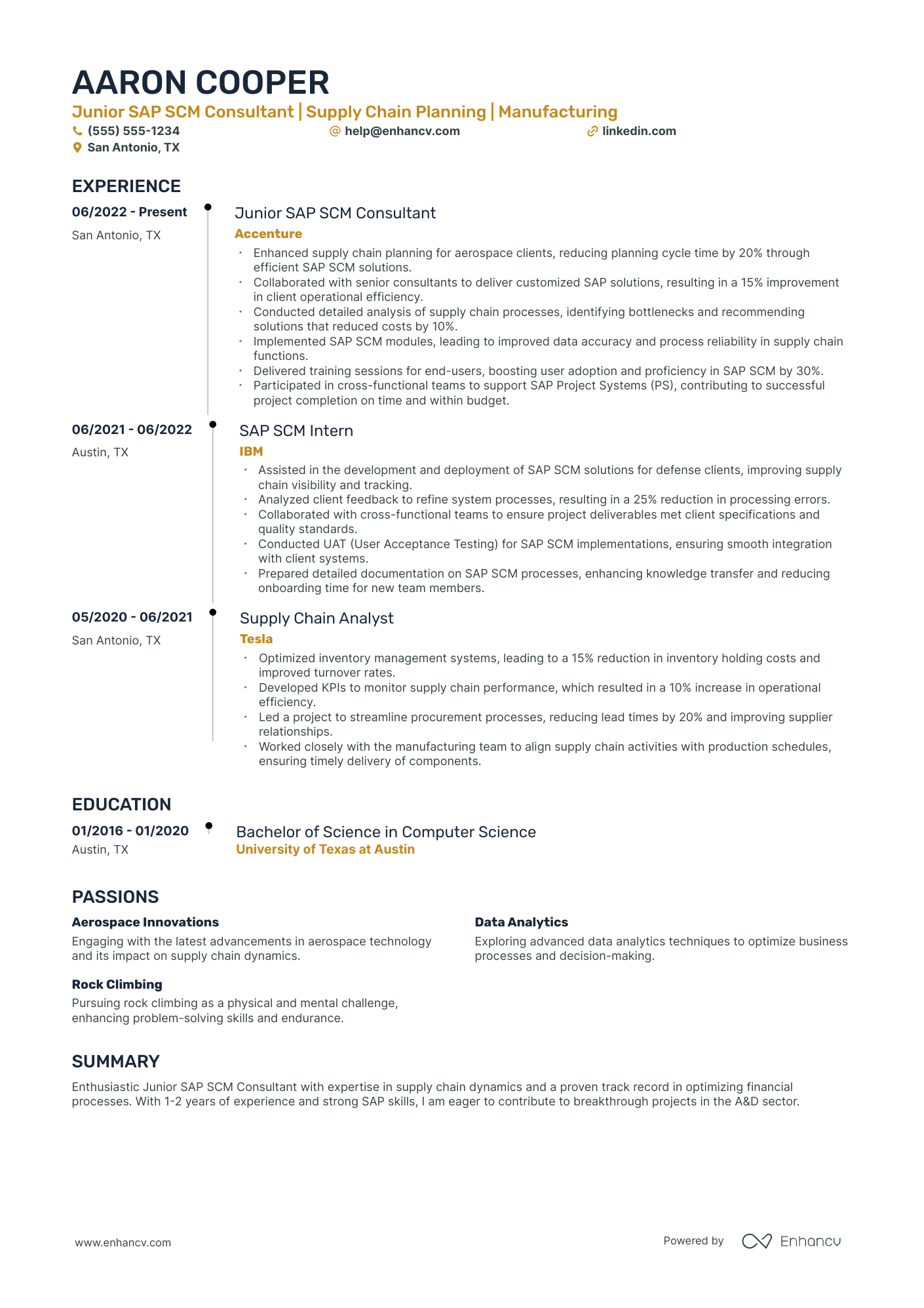 SAP Consultant resume example