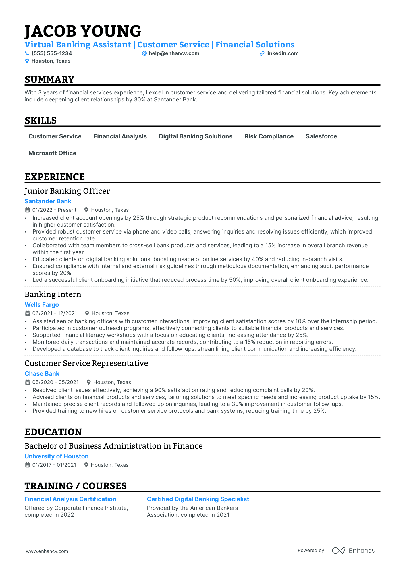 Virtual Financial Assistant Resume Example Resume Example