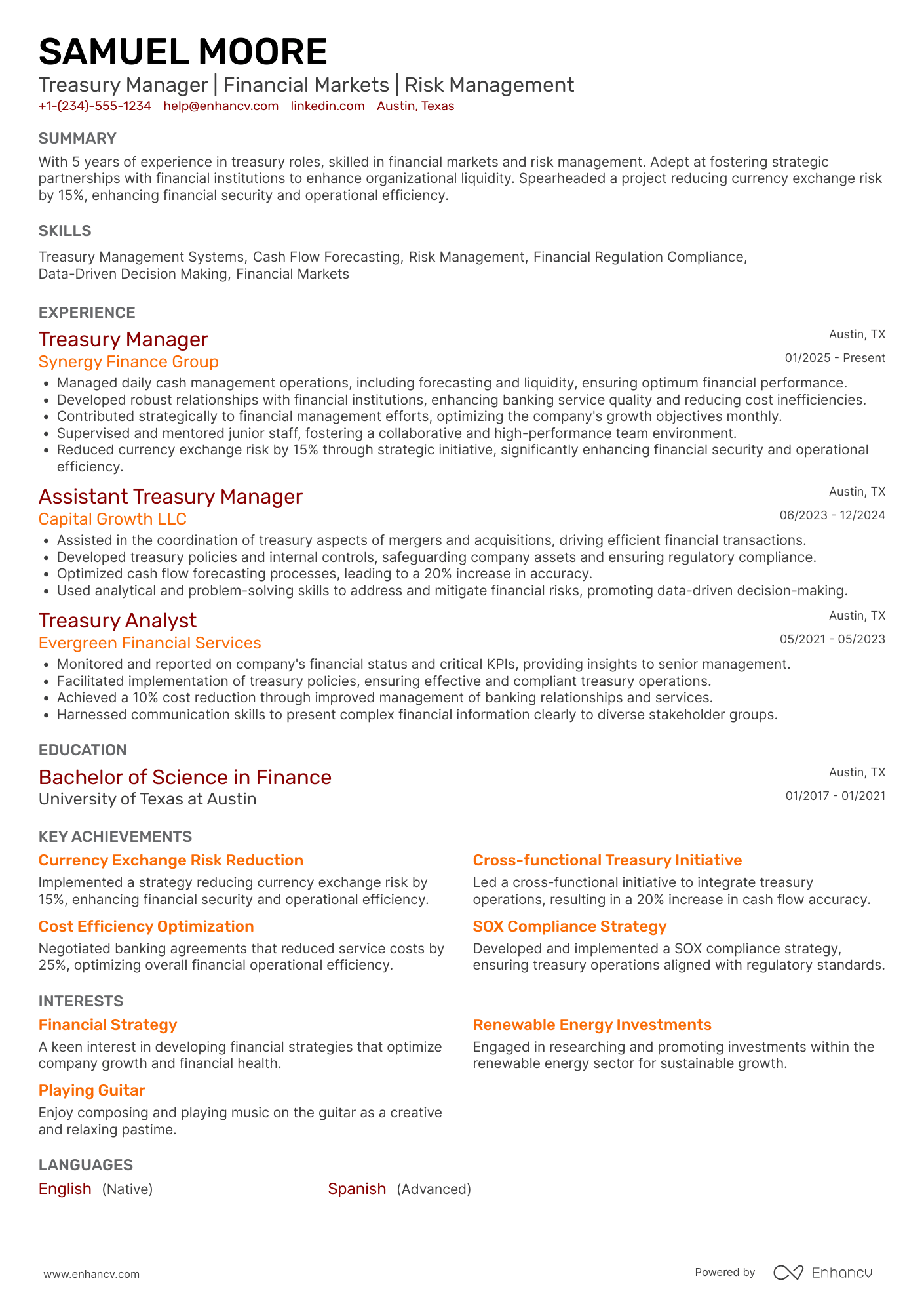 Treasury Manager resume example