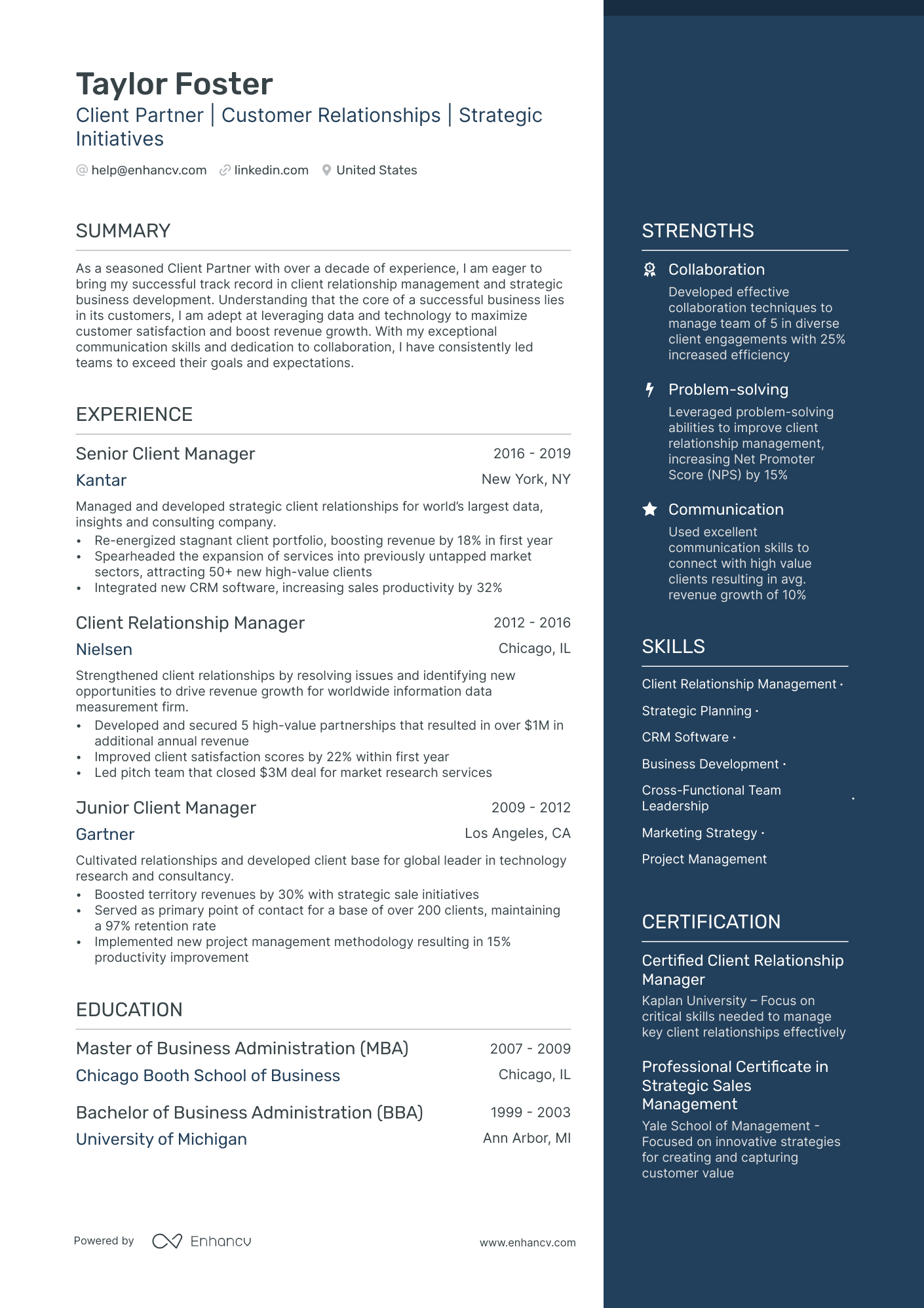 Client Partner resume example