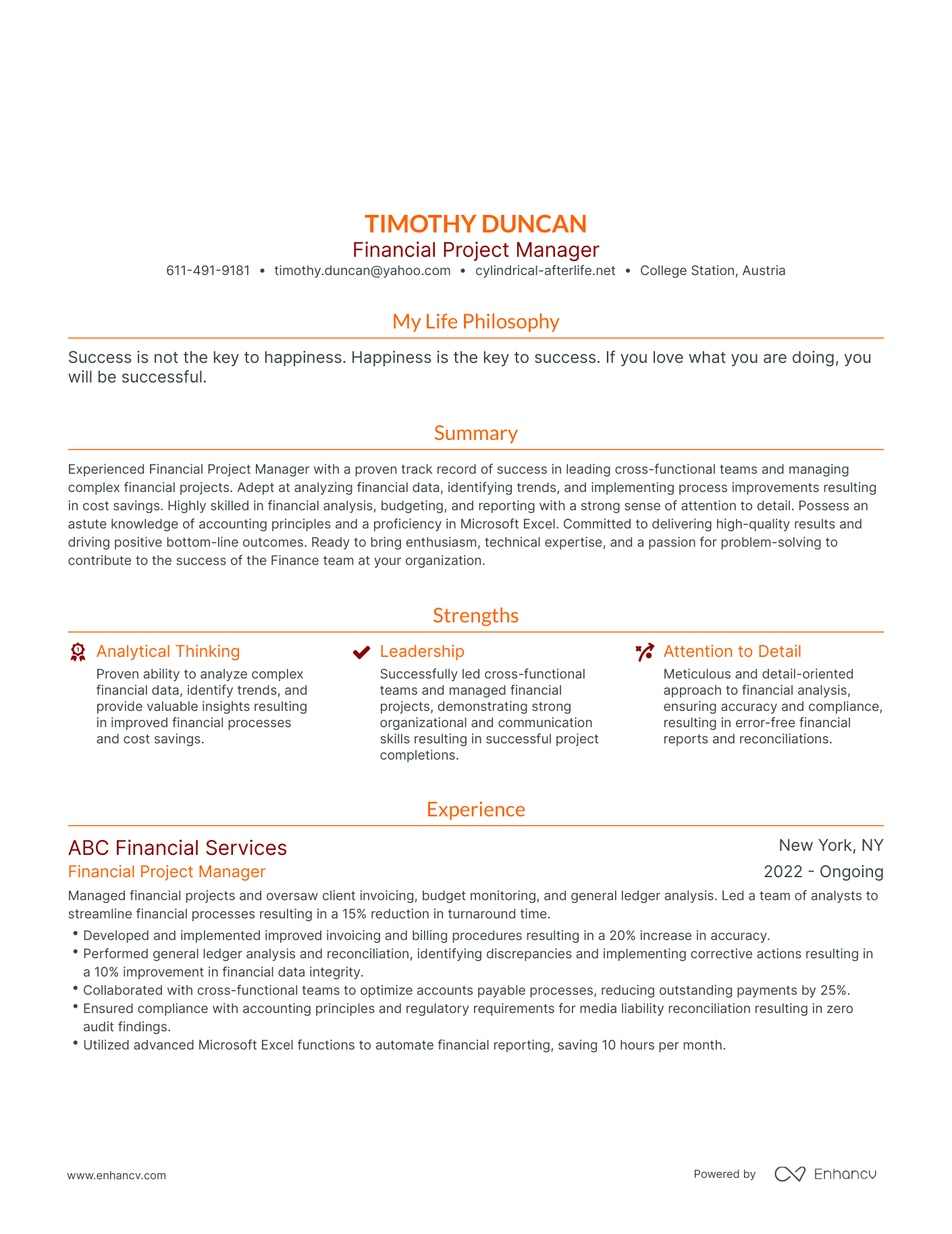 Modern Financial Project Manager Resume Example