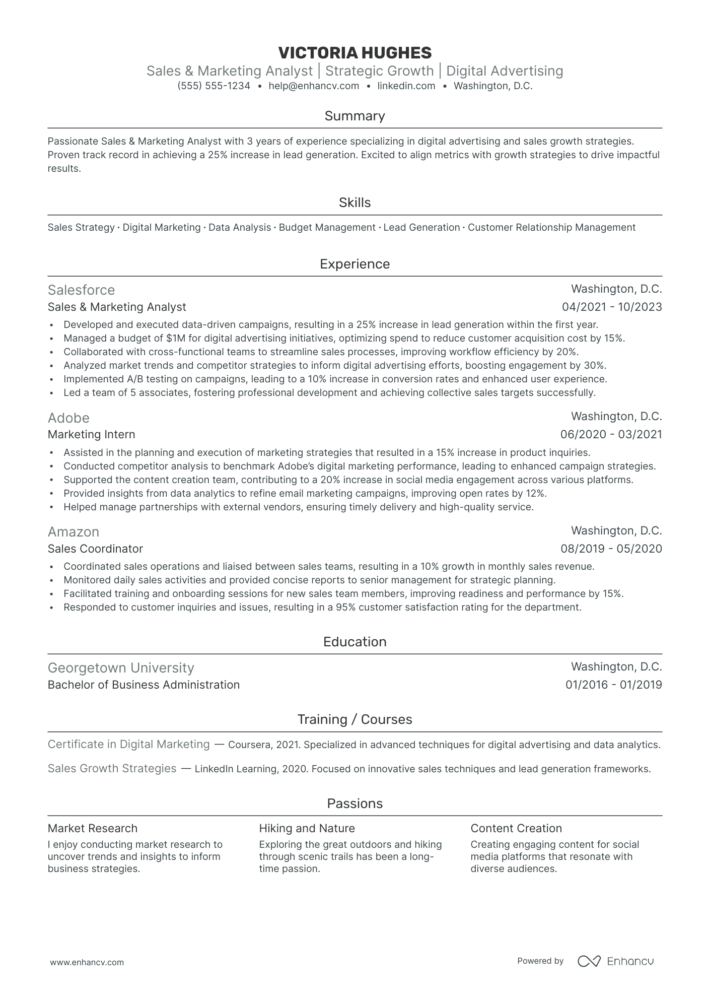 Sales and Marketing Director Resume Example Resume Example