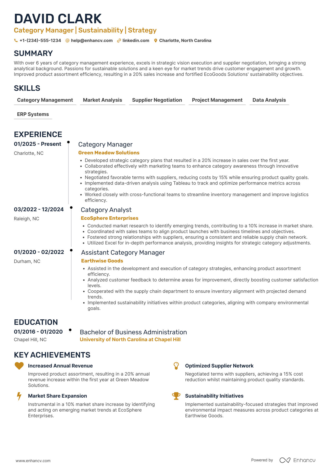 Category Manager resume example