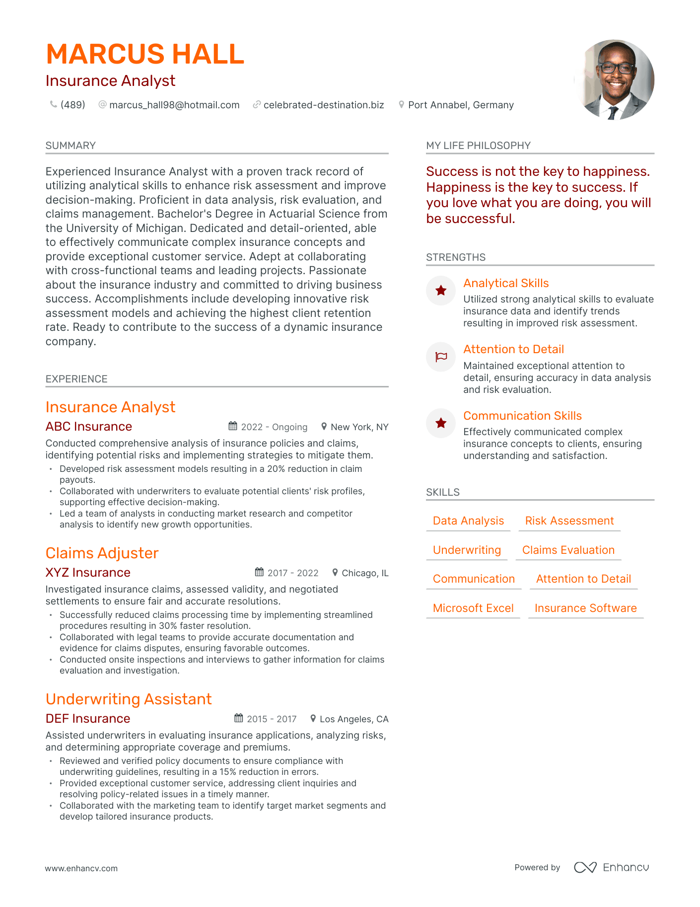 Insurance Analyst resume example