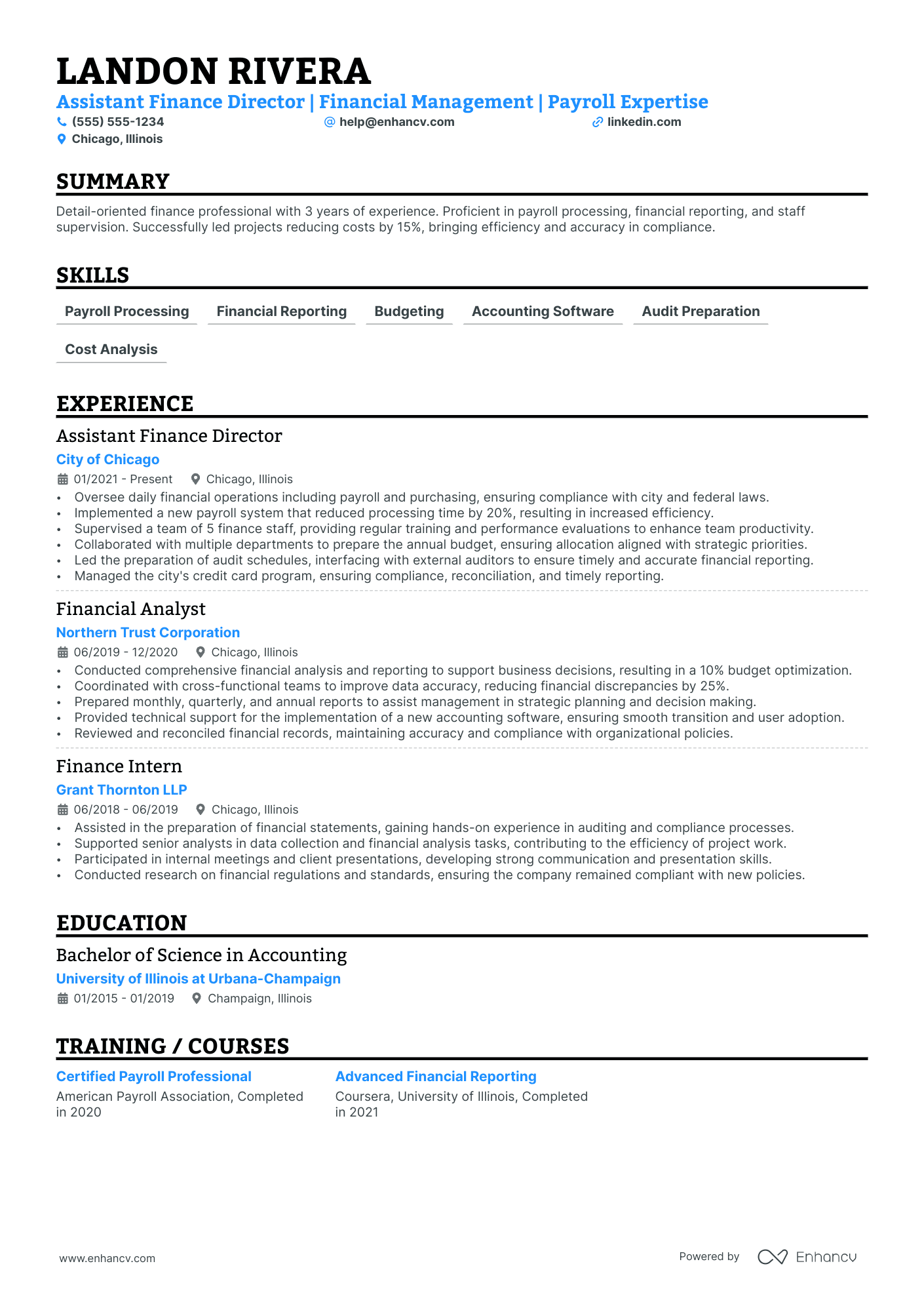 Assistant Finance Director Resume Example Resume Example