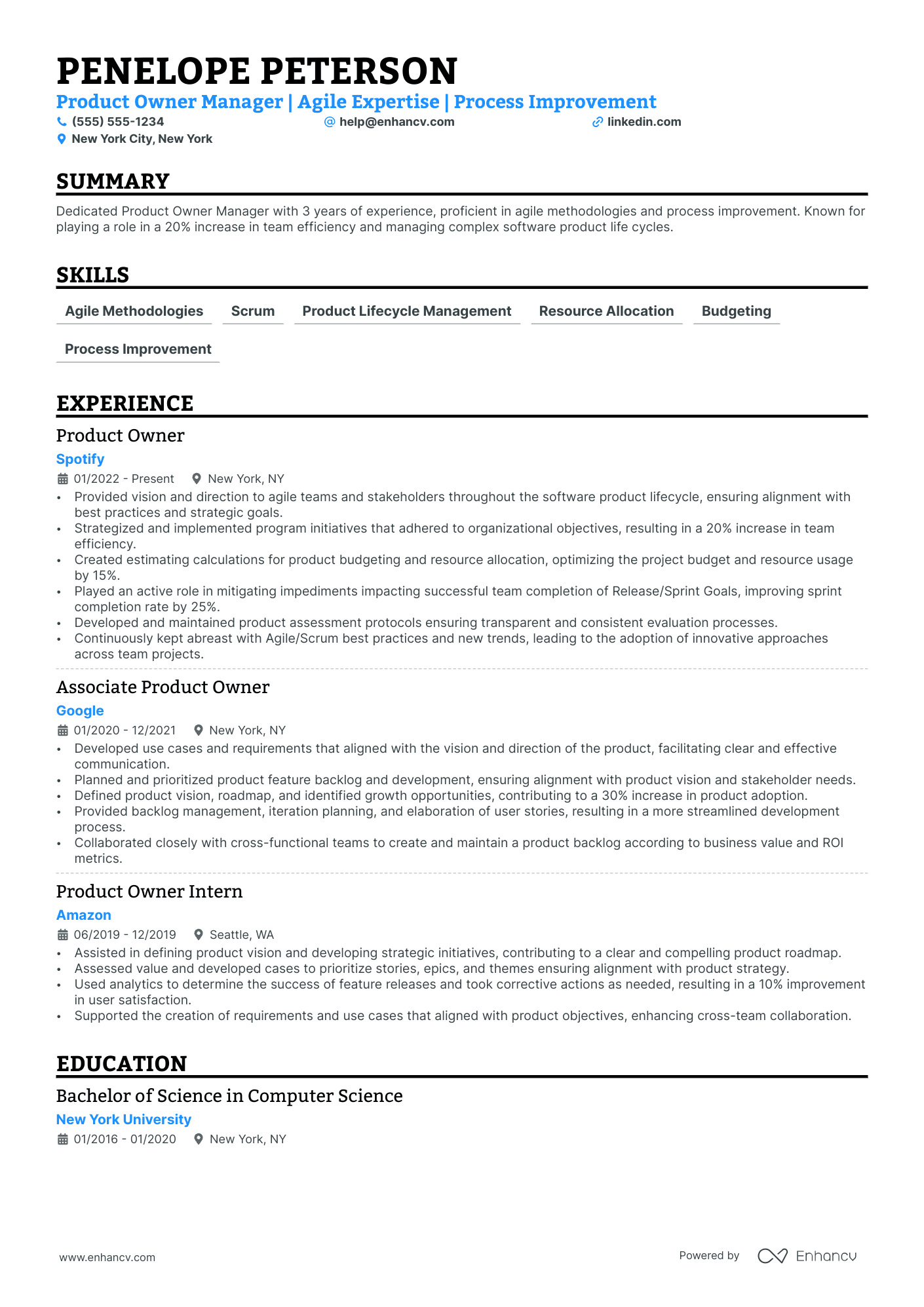 Product Owner Manager Resume Example Resume Example