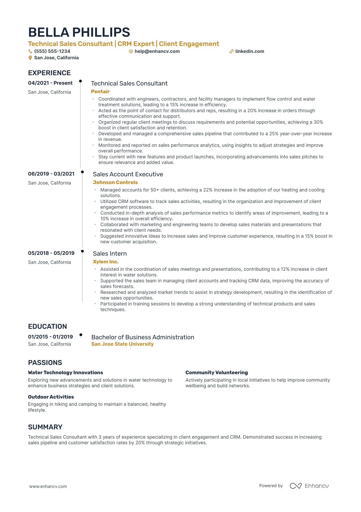 Technical Sales Consultant resume example