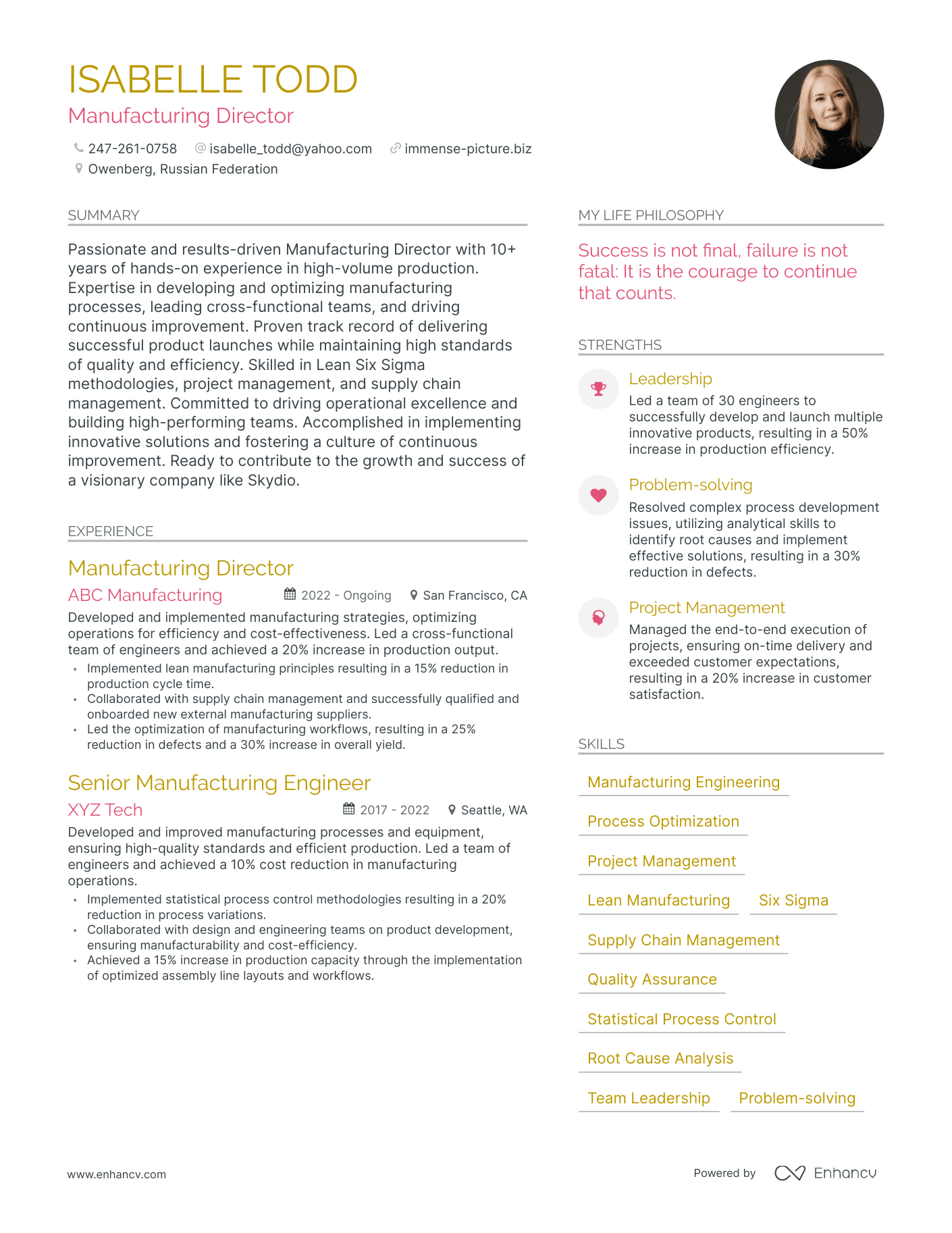 Modern Manufacturing Director Resume Example