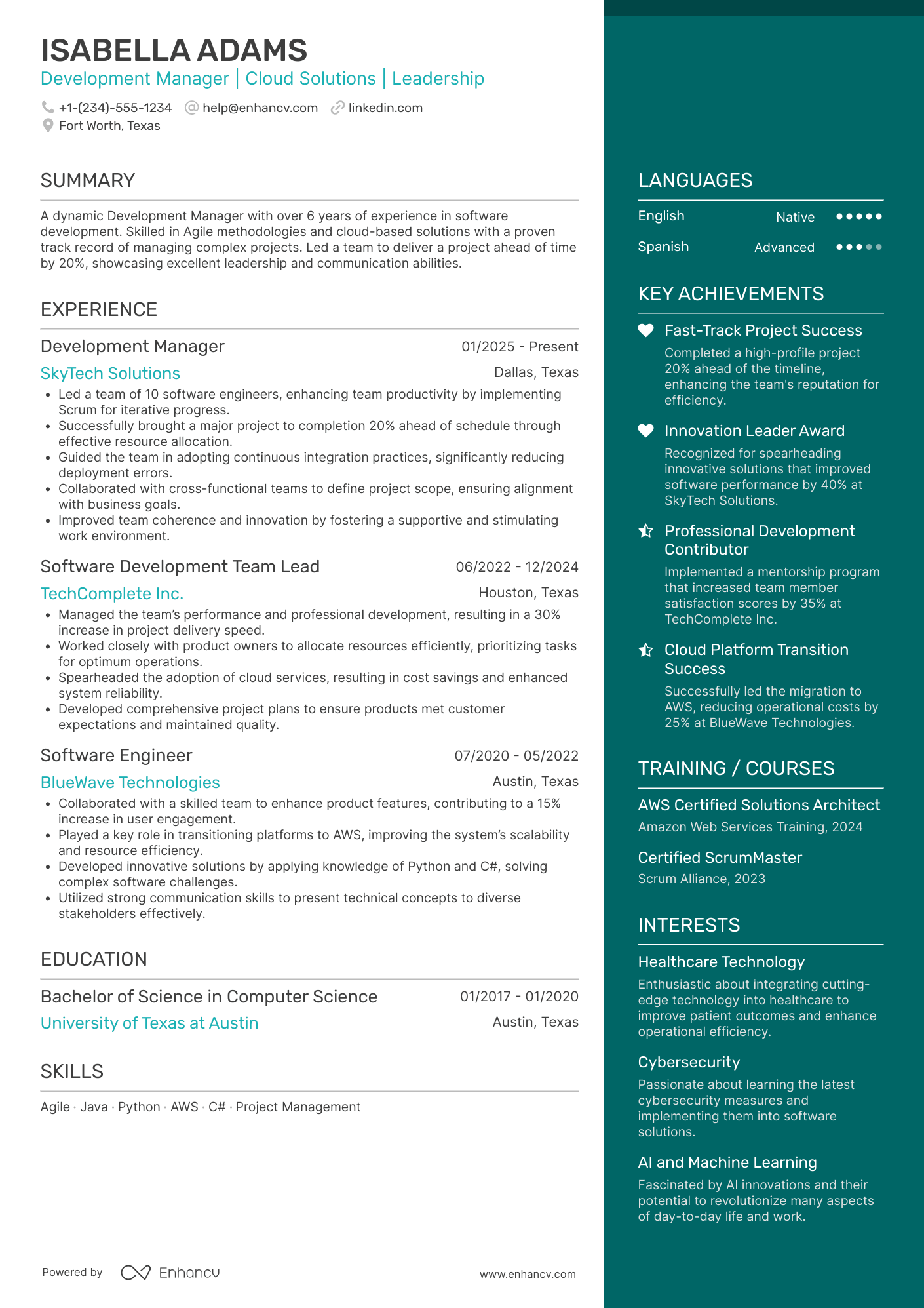 Development Manager resume example