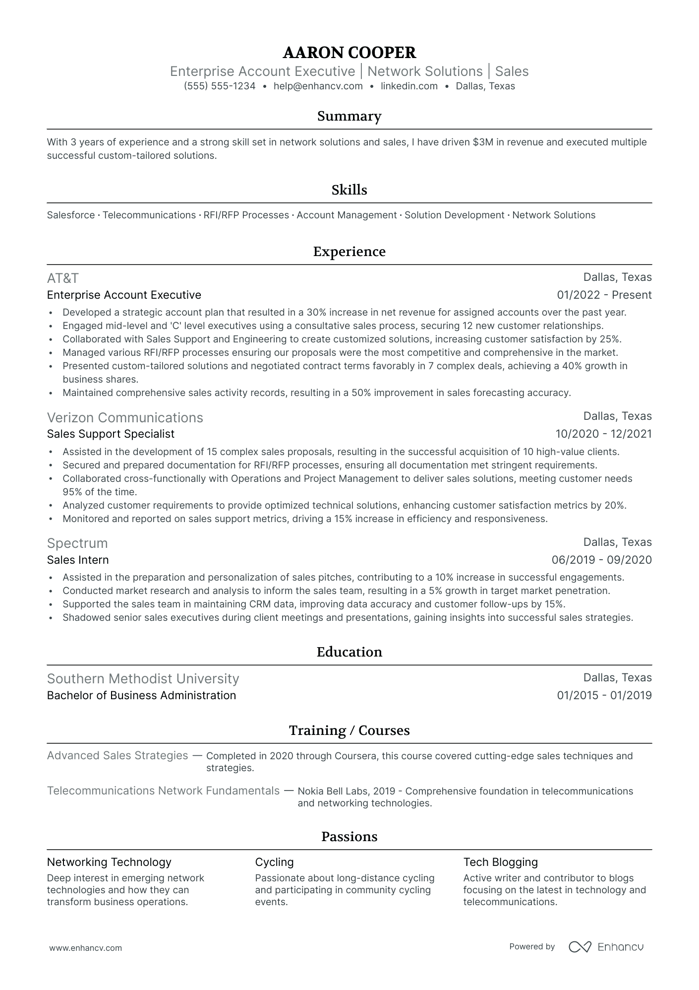 Direct Sales Account Executive resume example