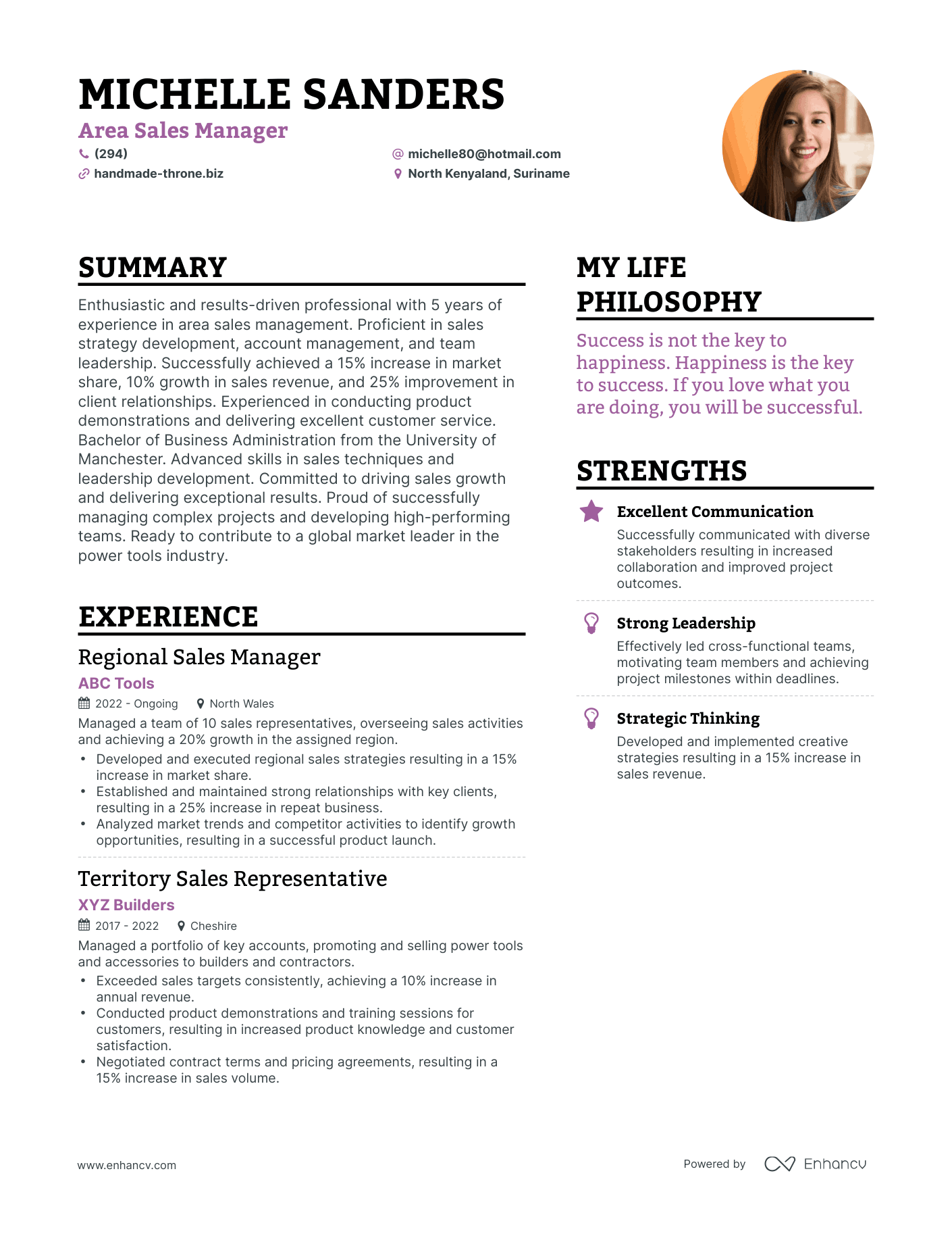 Modern Area Sales Manager Resume Example