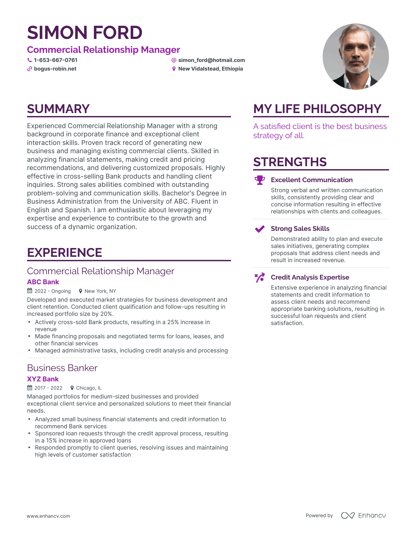 Modern Commercial Relationship Manager Resume Example