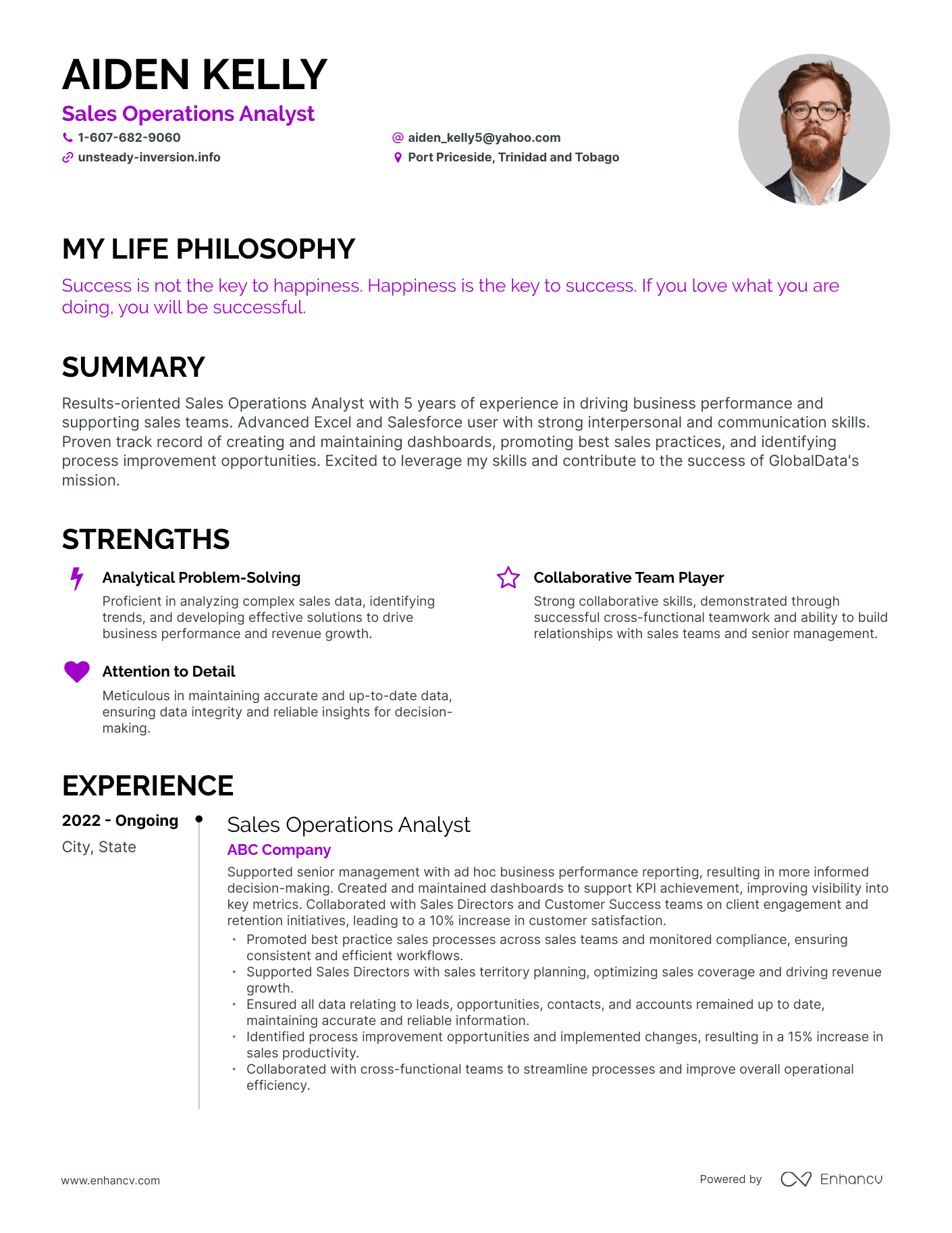Creative Sales Operations Analyst Resume Example