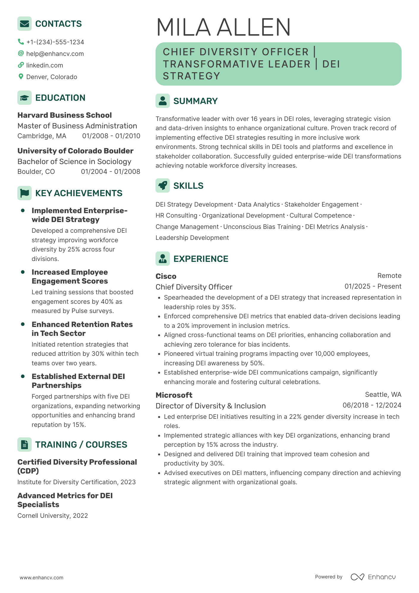 Chief Diversity Officer resume example