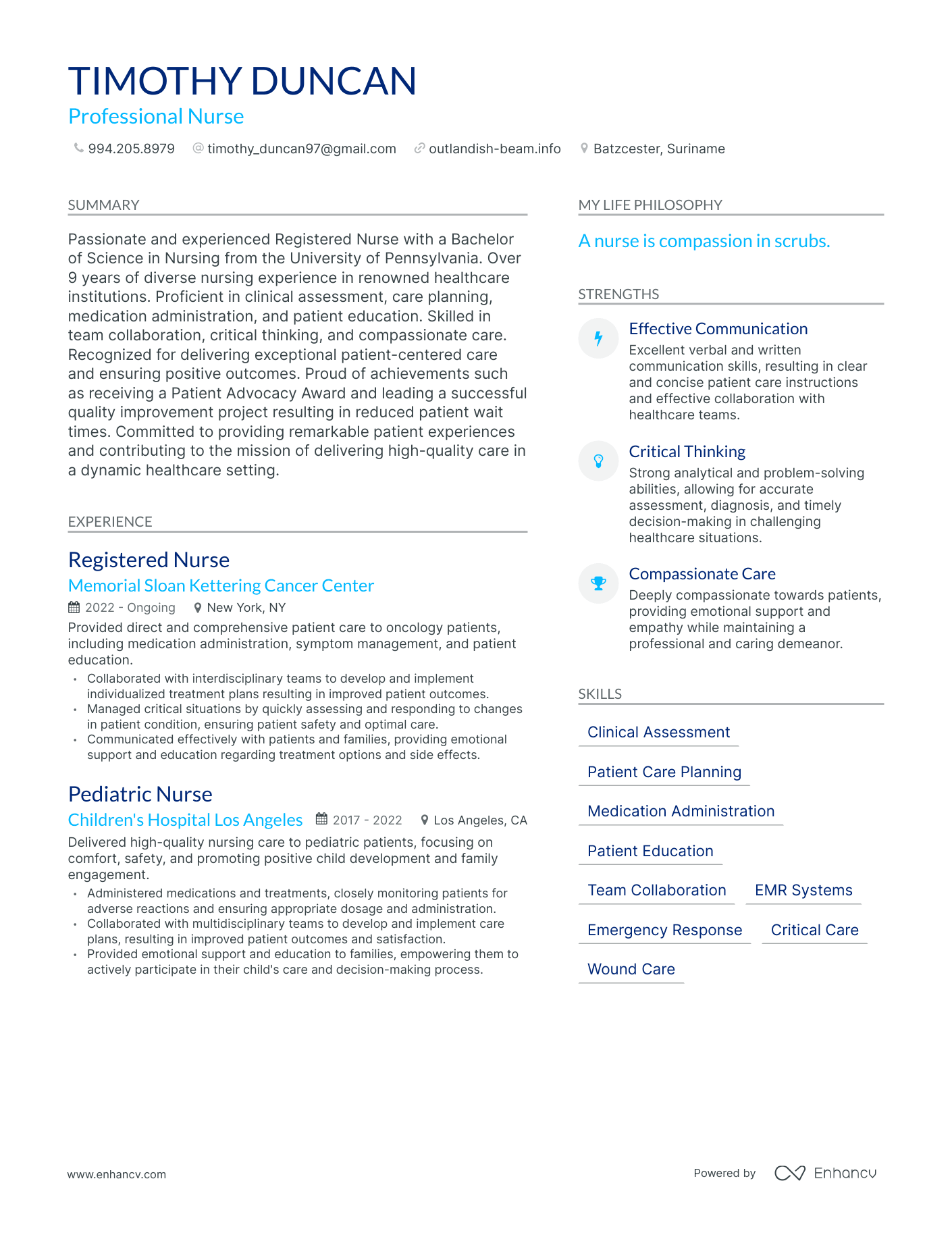 Professional Nurse resume example