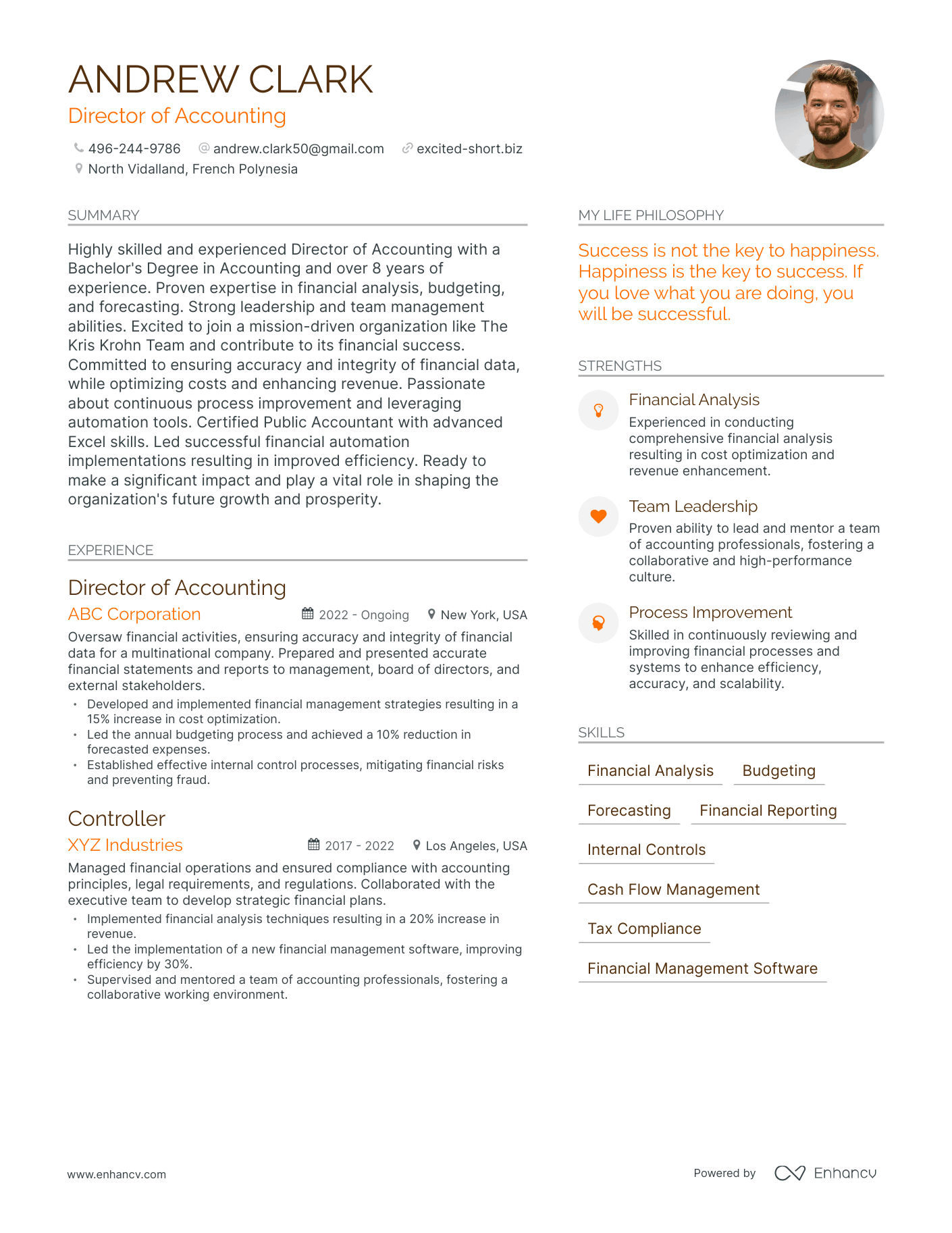 Modern Director of Accounting Resume Example