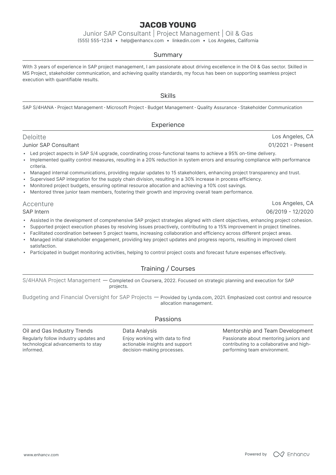 SAP Project Manager Resume Example Resume Example