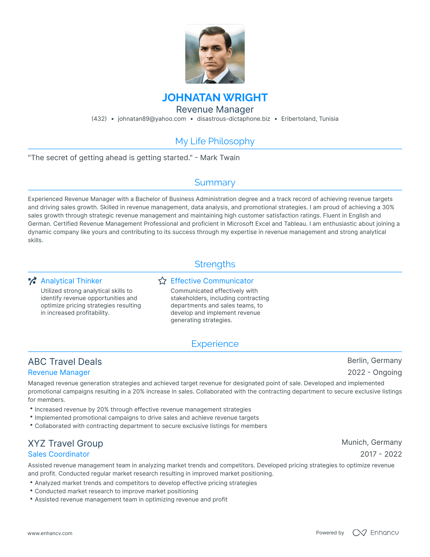 Modern Revenue Manager Resume Example