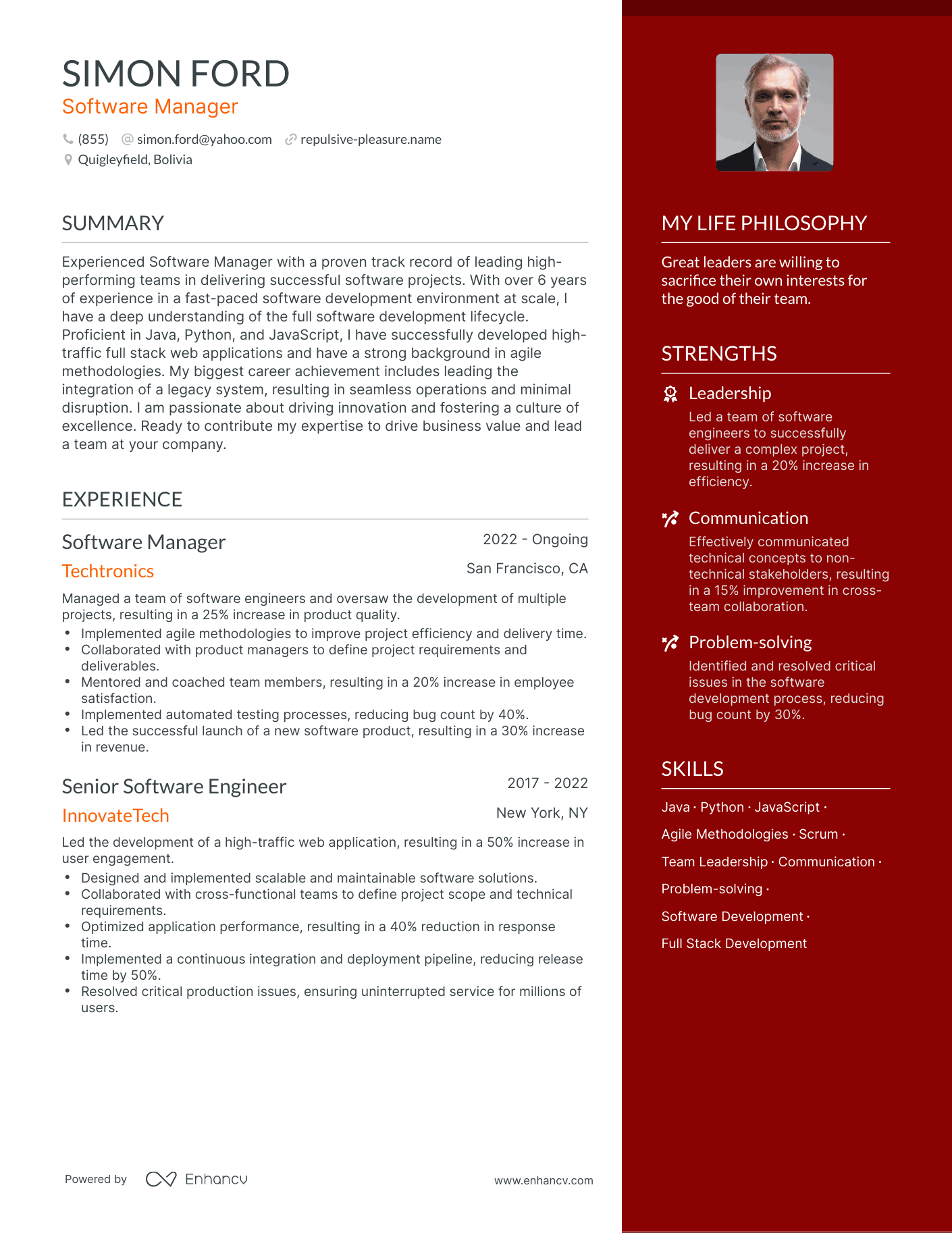 Modern Software Manager Resume Example