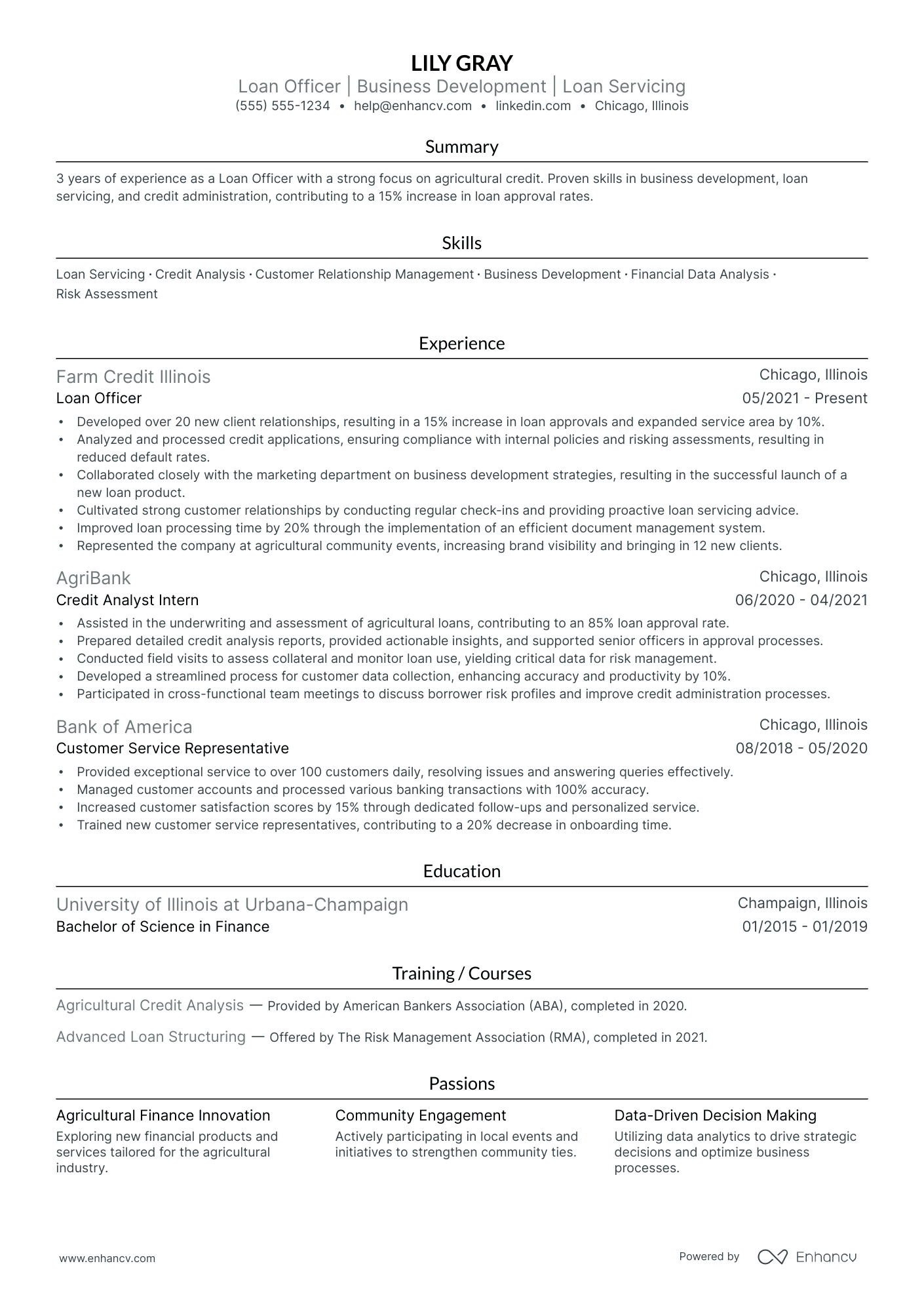 Chief Loan Officer resume example