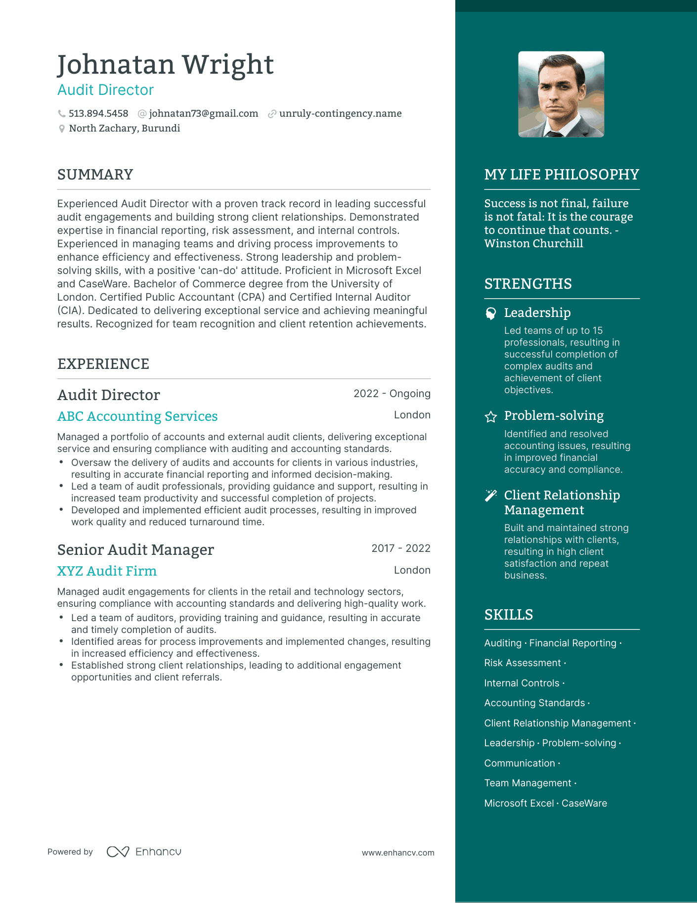 Audit Director resume example