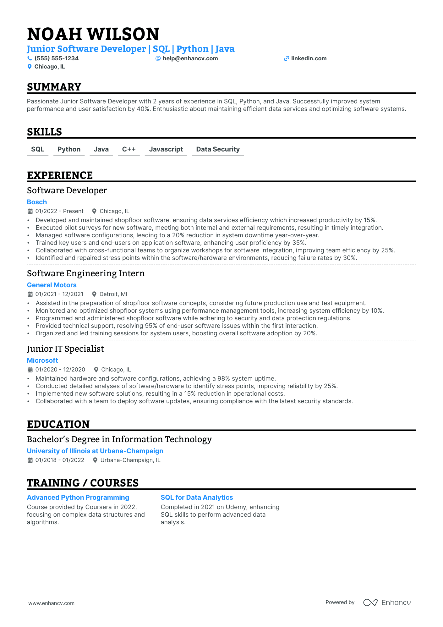 Software Developer Specialist resume example