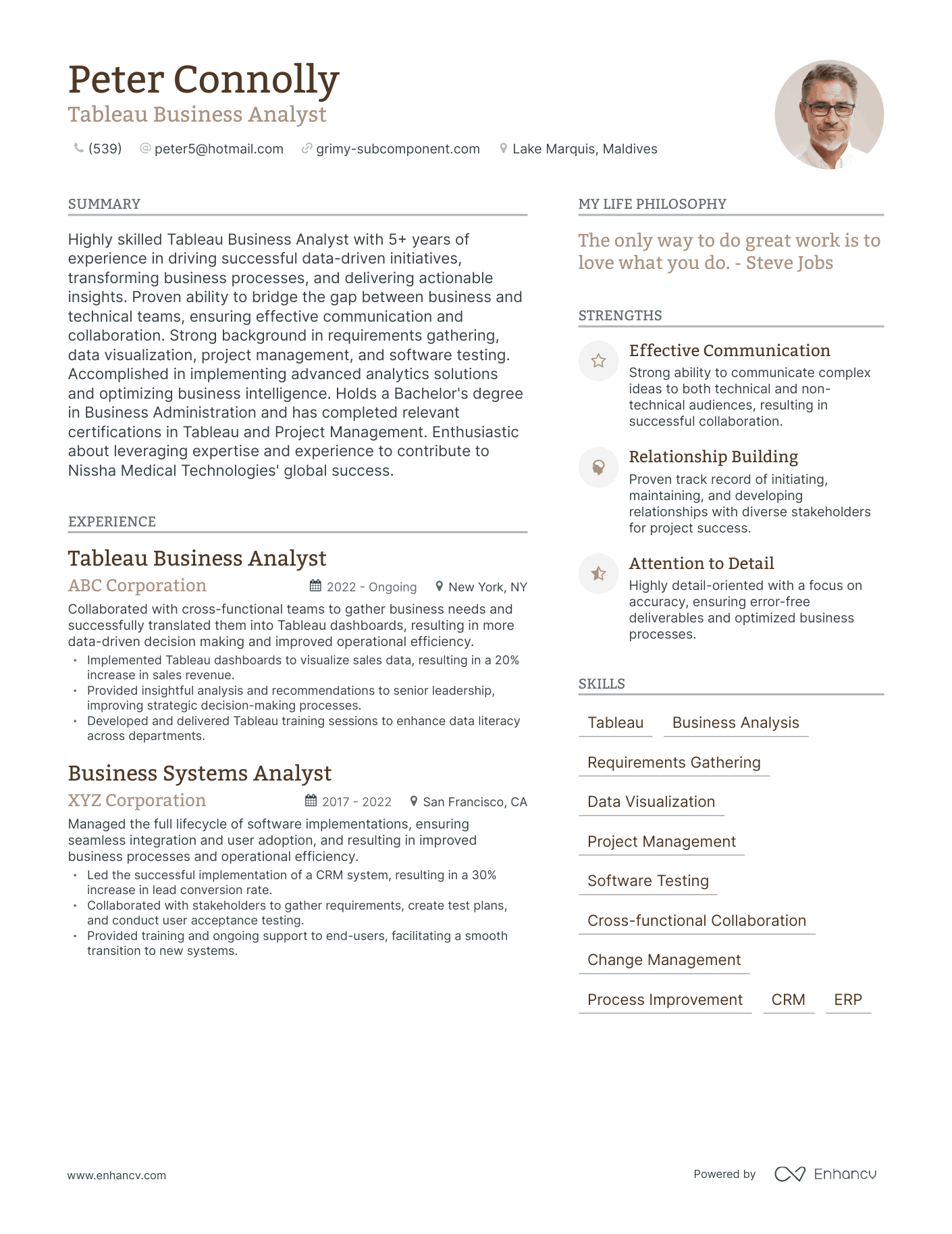 Tableau Business Analyst resume example