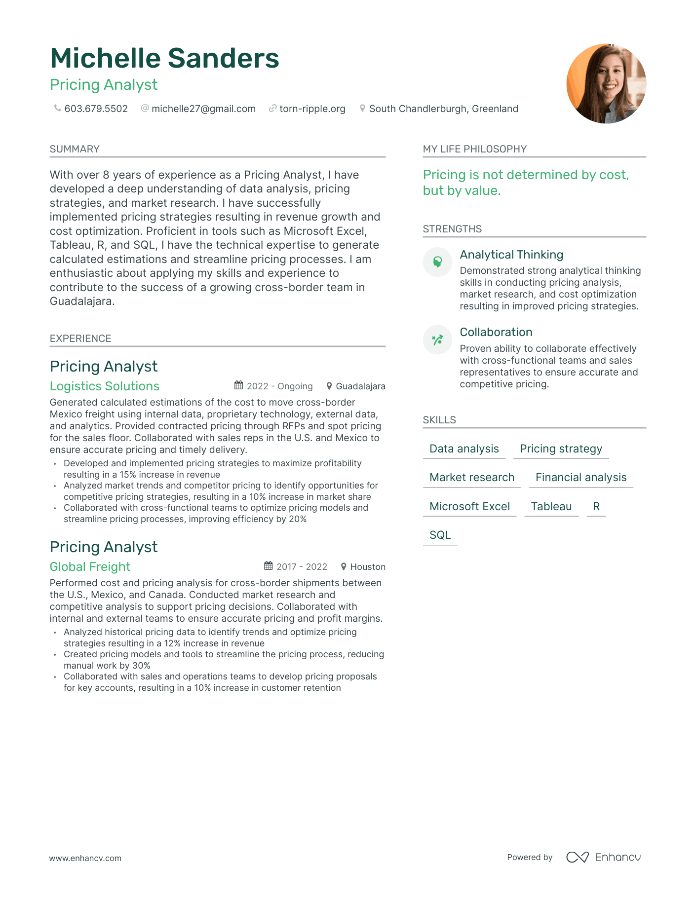 Pricing Analyst resume example