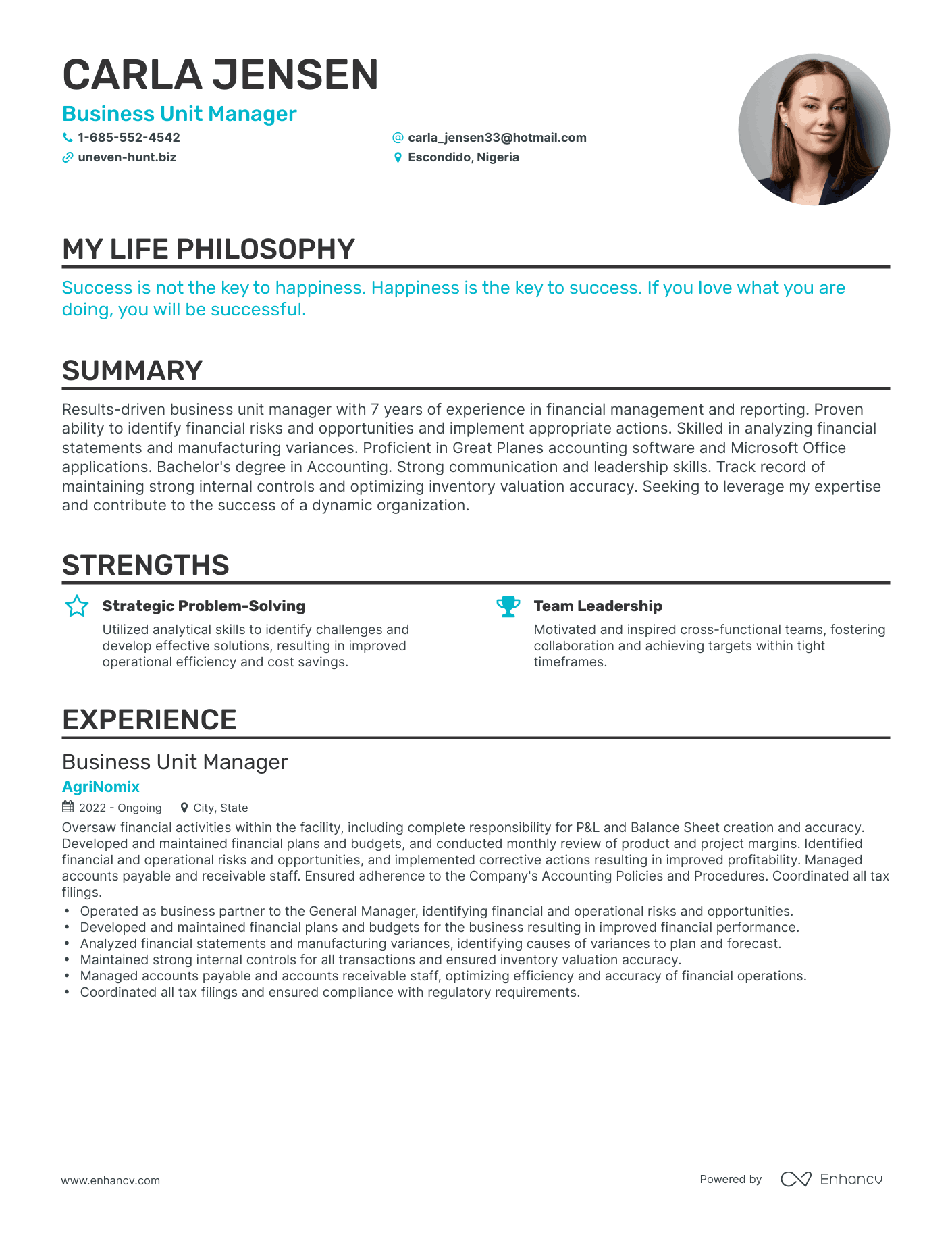Creative Business Unit Manager Resume Example
