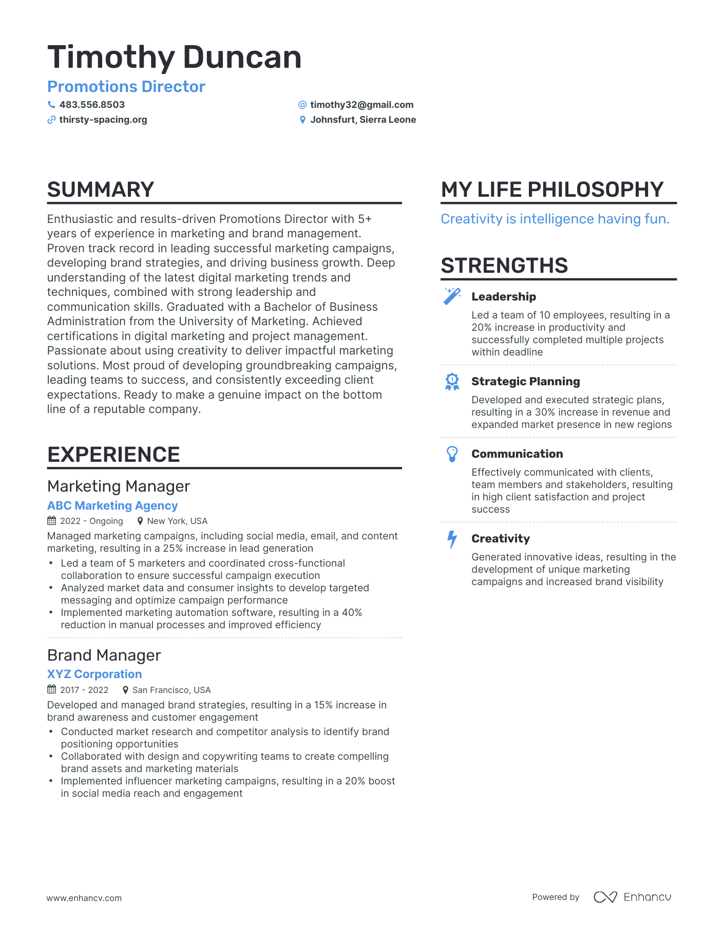 Modern Promotions Director Resume Example