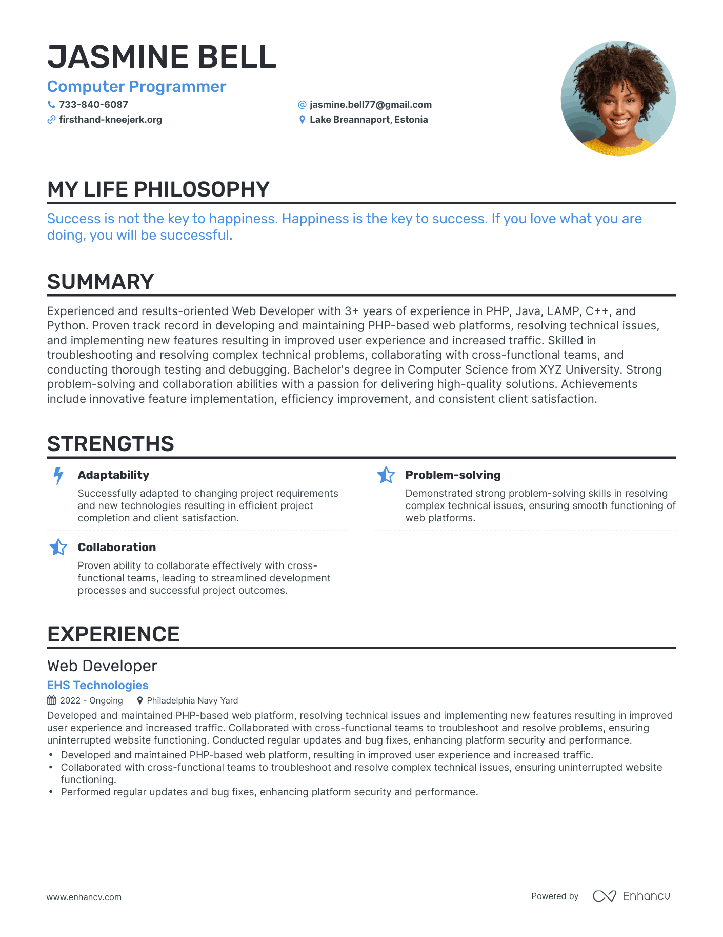 creative resume programmer