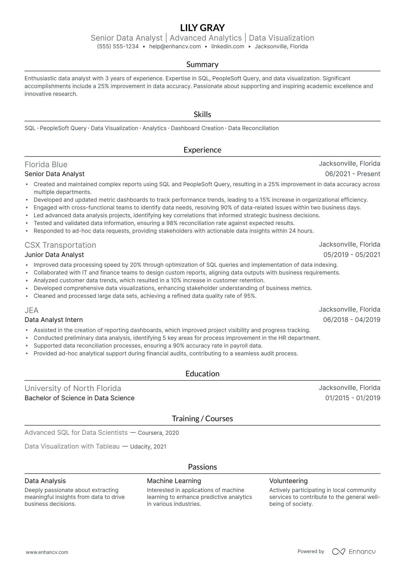 Data Insight Analyst resume example