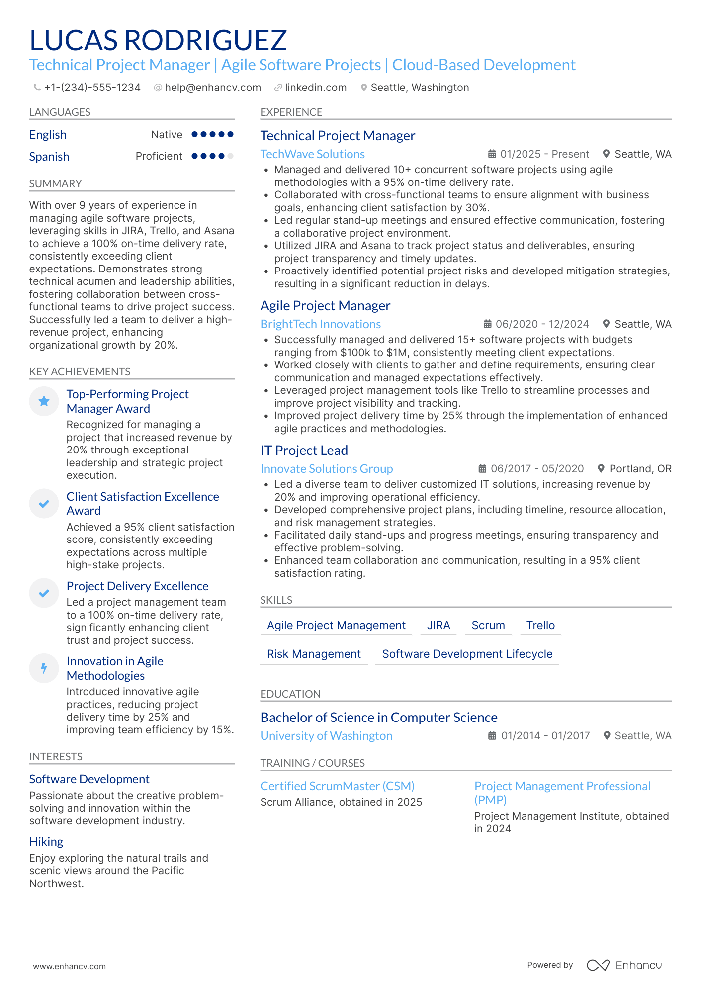 Technical Project Manager resume example