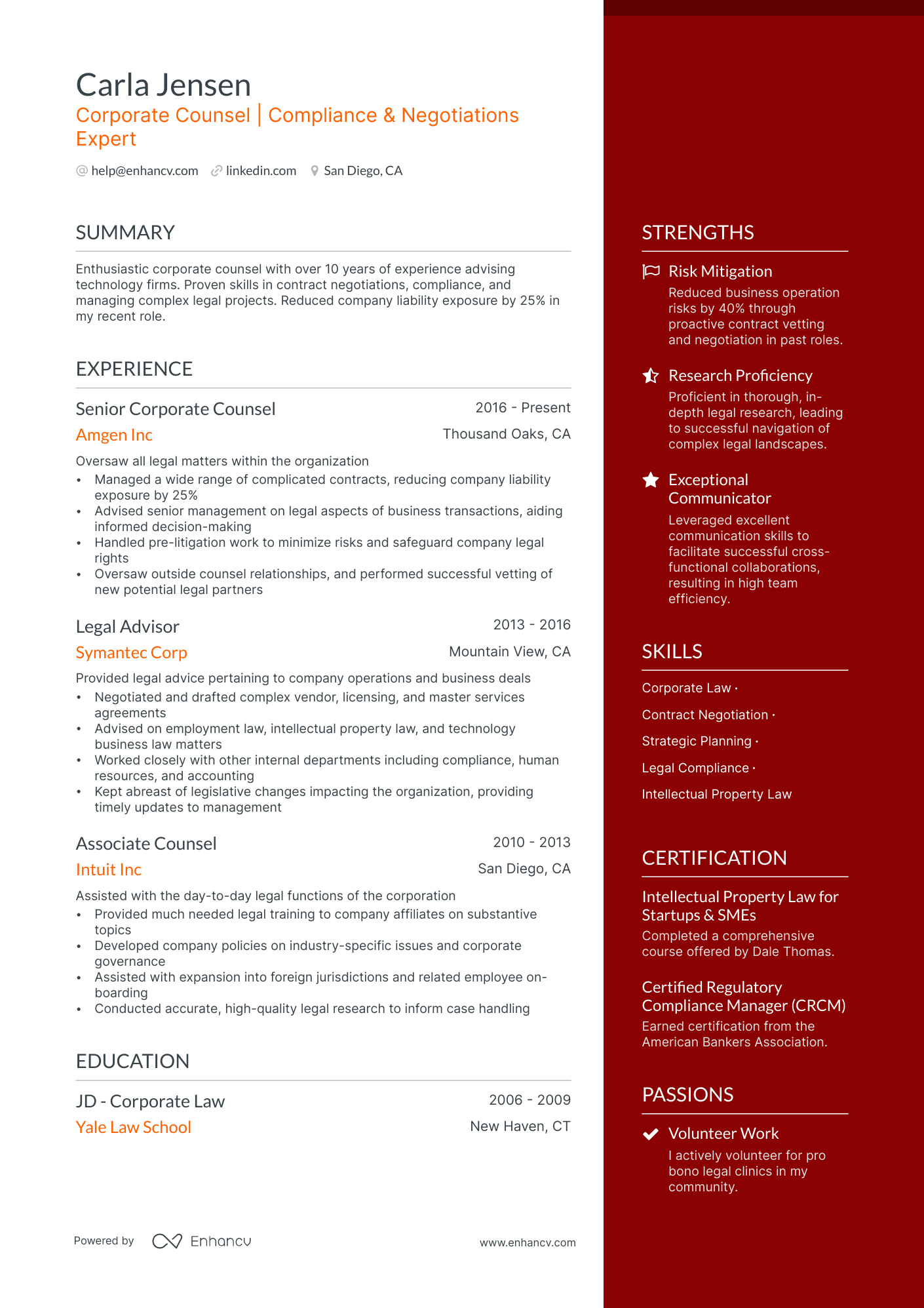 In House Counsel resume example