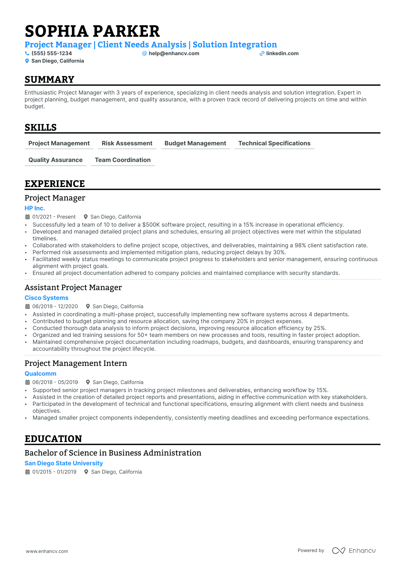 Digital Project Manager Resume Example Resume Example