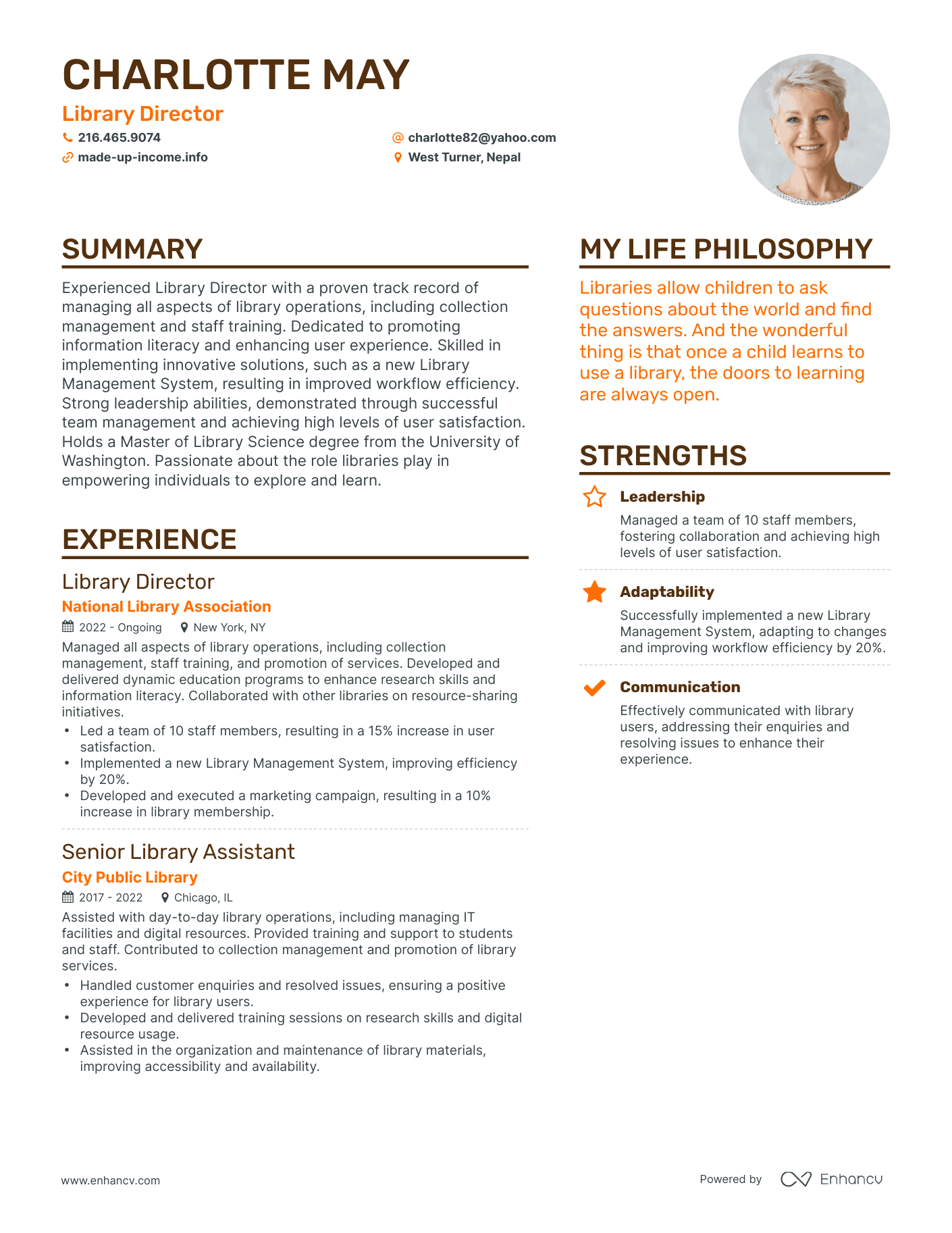 Modern Library Director Resume Example