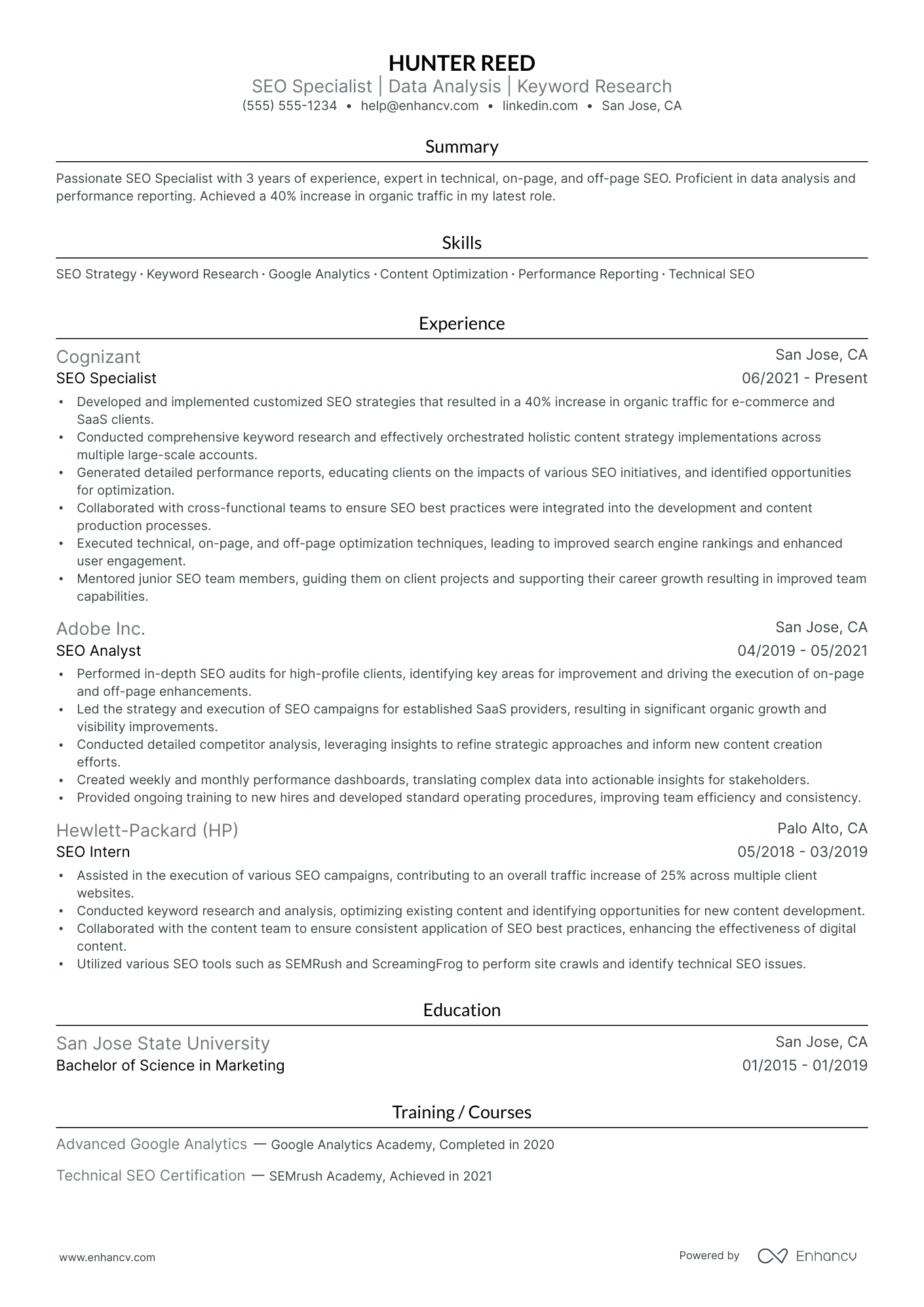 SEO Account Manager resume example