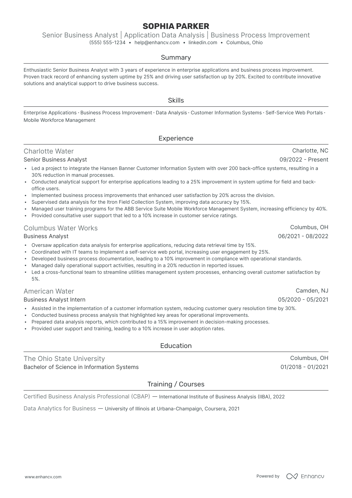 Business Application Analyst resume example