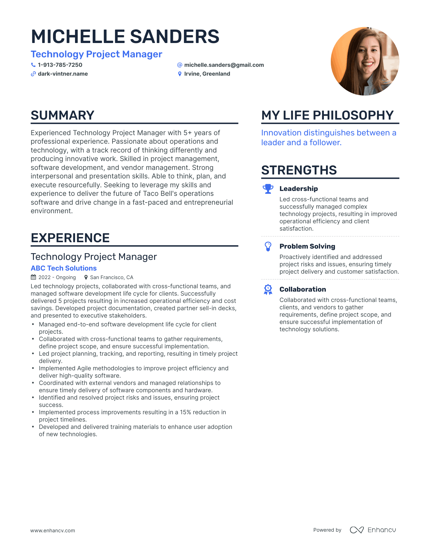 Technology Project Manager resume example