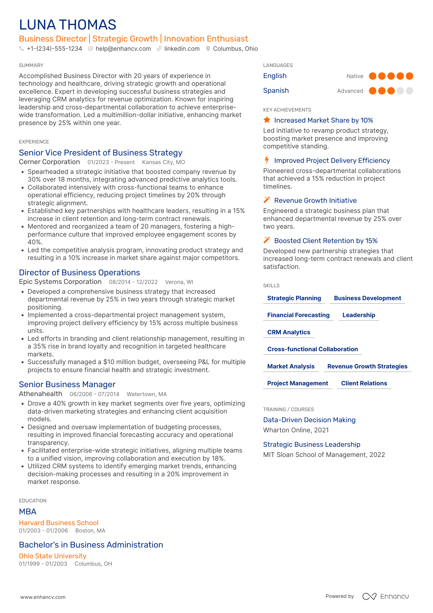 Business Director resume example