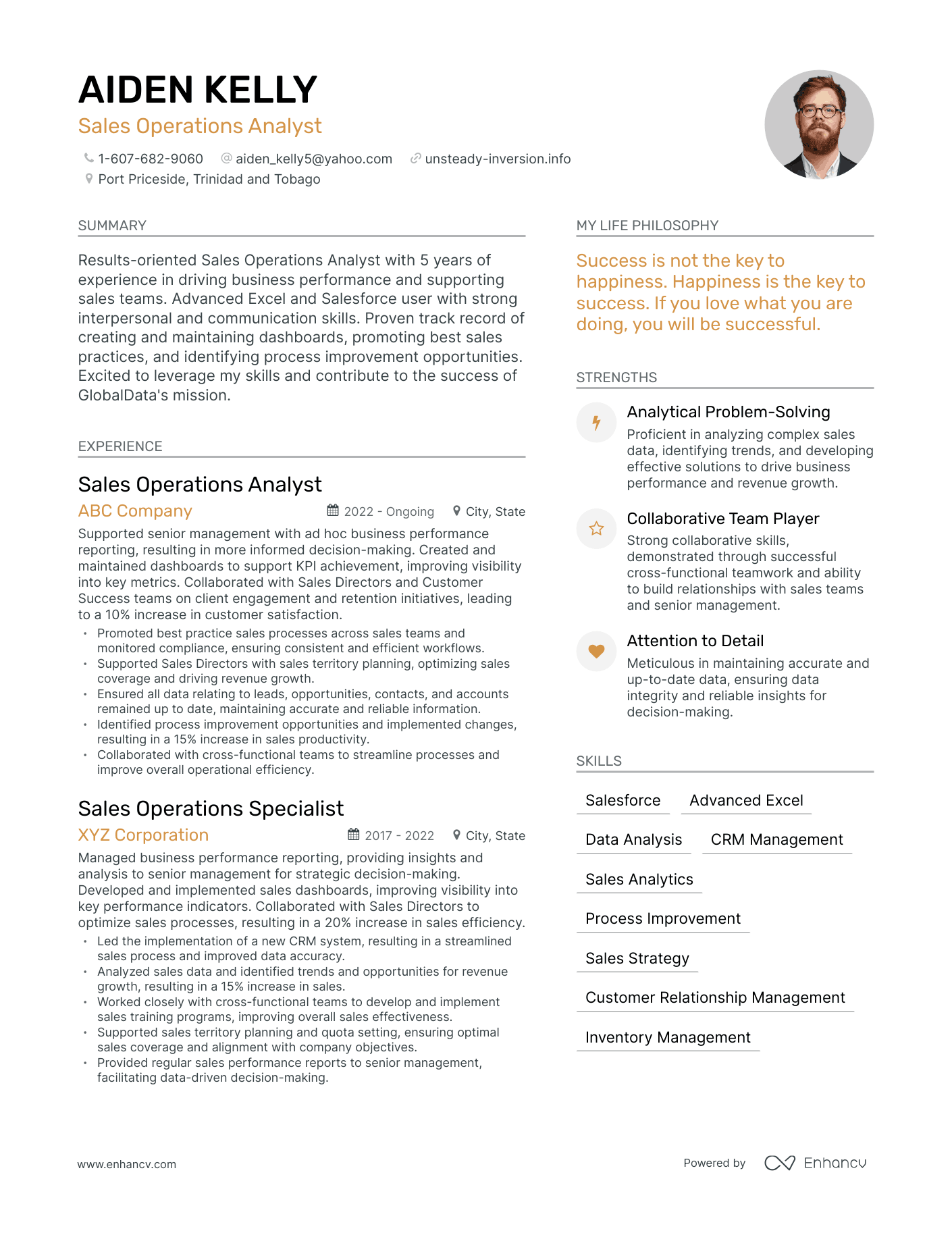 Modern Sales Operations Analyst Resume Example