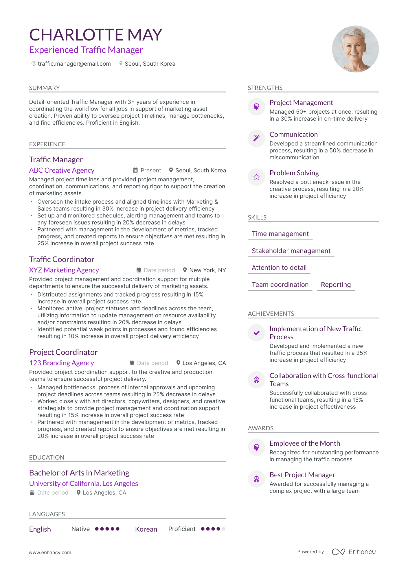 Traffic Manager resume example
