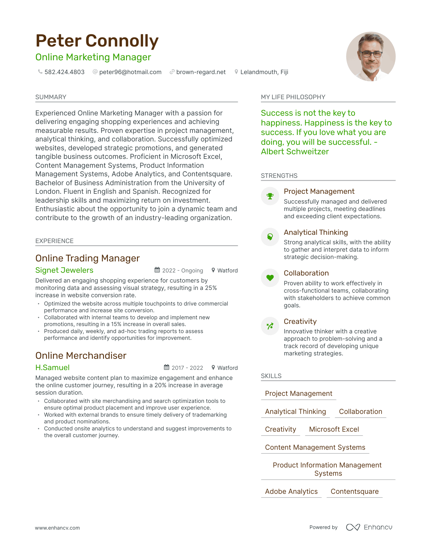 Online Marketing Manager resume example