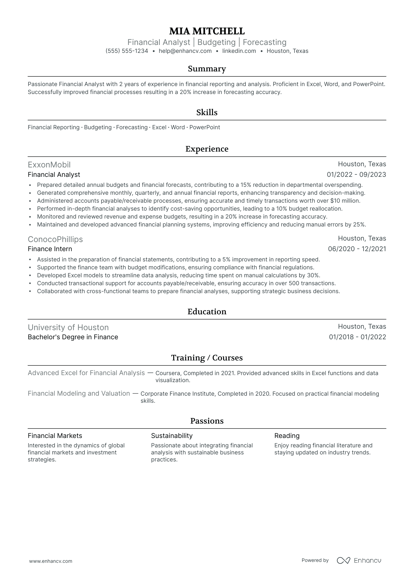 Financial Analyst resume example