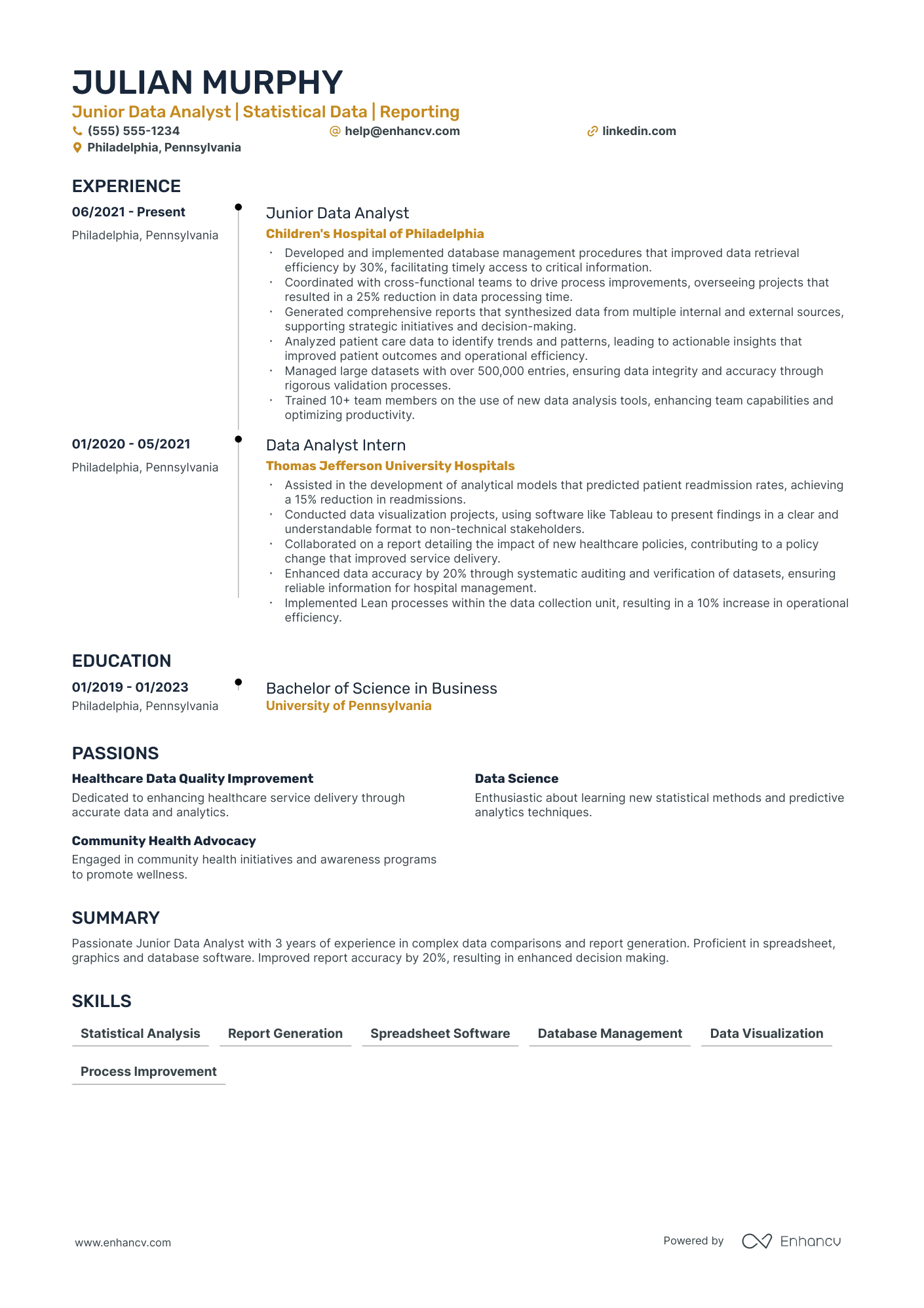 Business Performance Analyst resume example