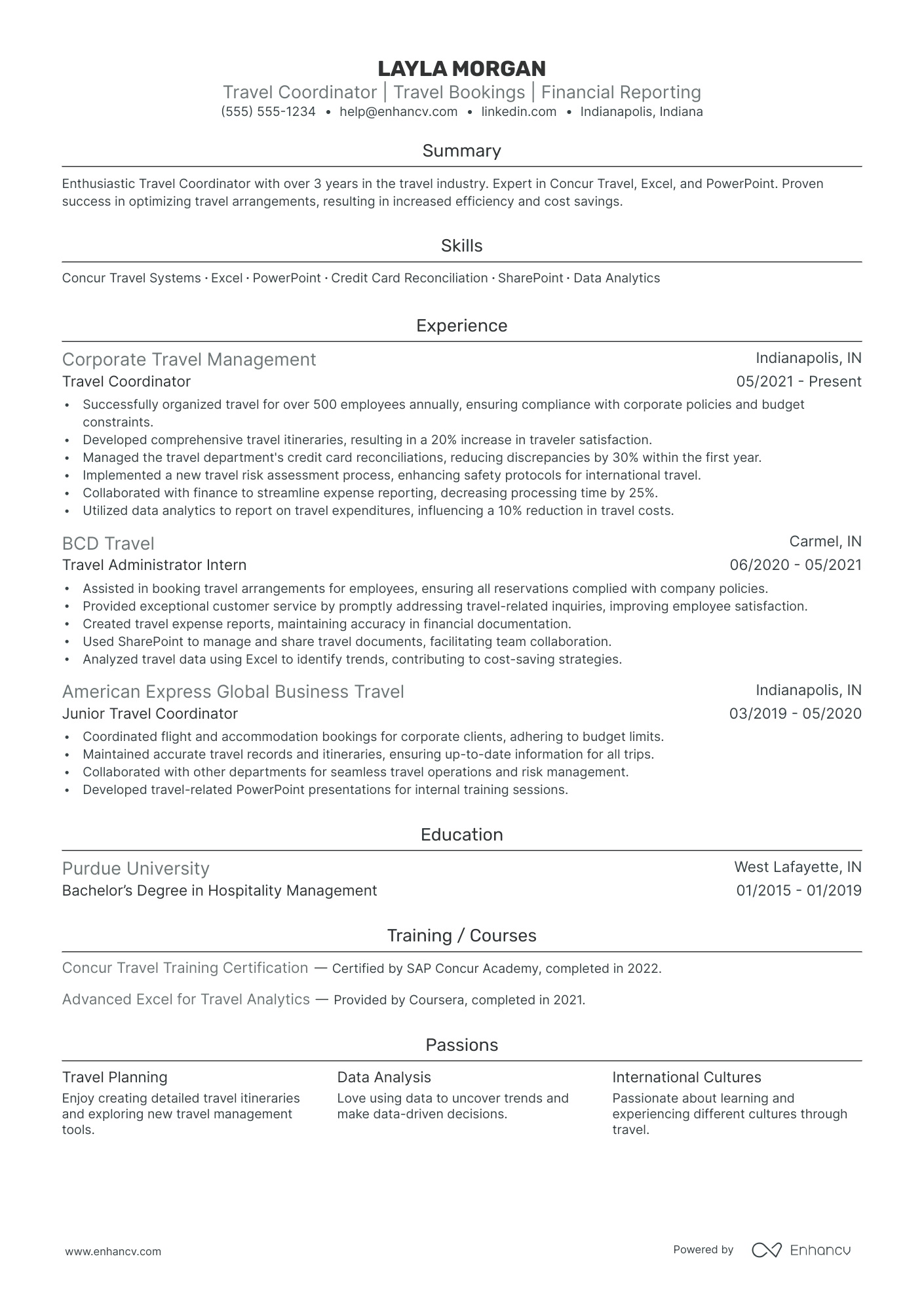 International Travel Agent Resume Example Resume Example