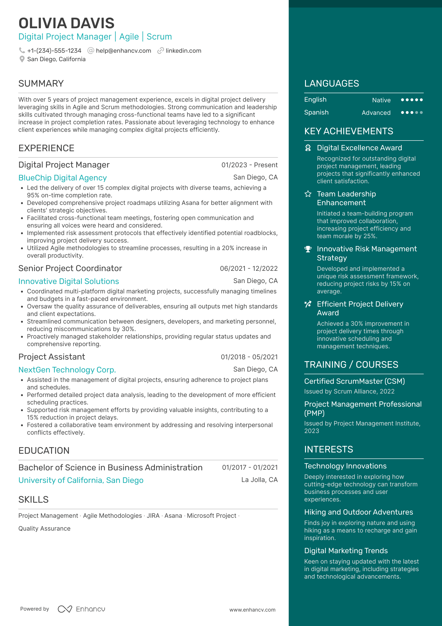 Digital Project Manager resume example